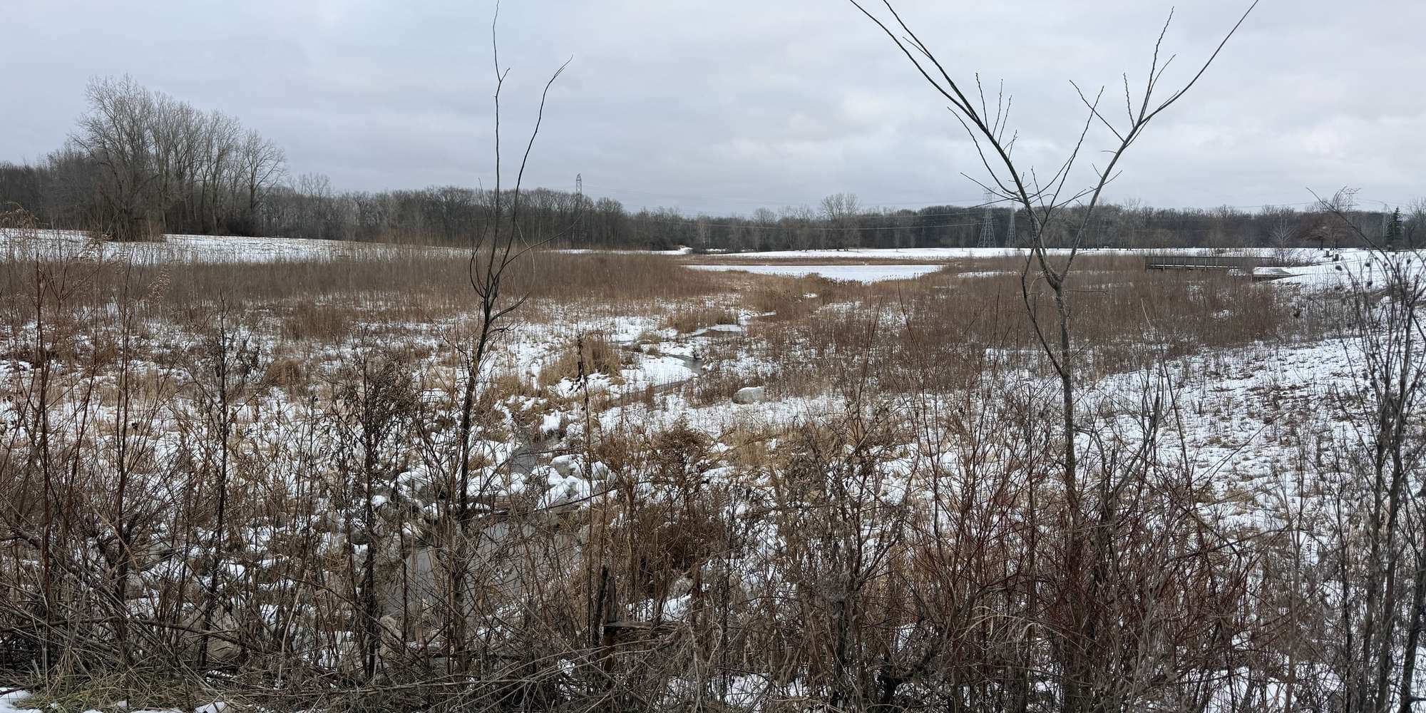 Second image to compare