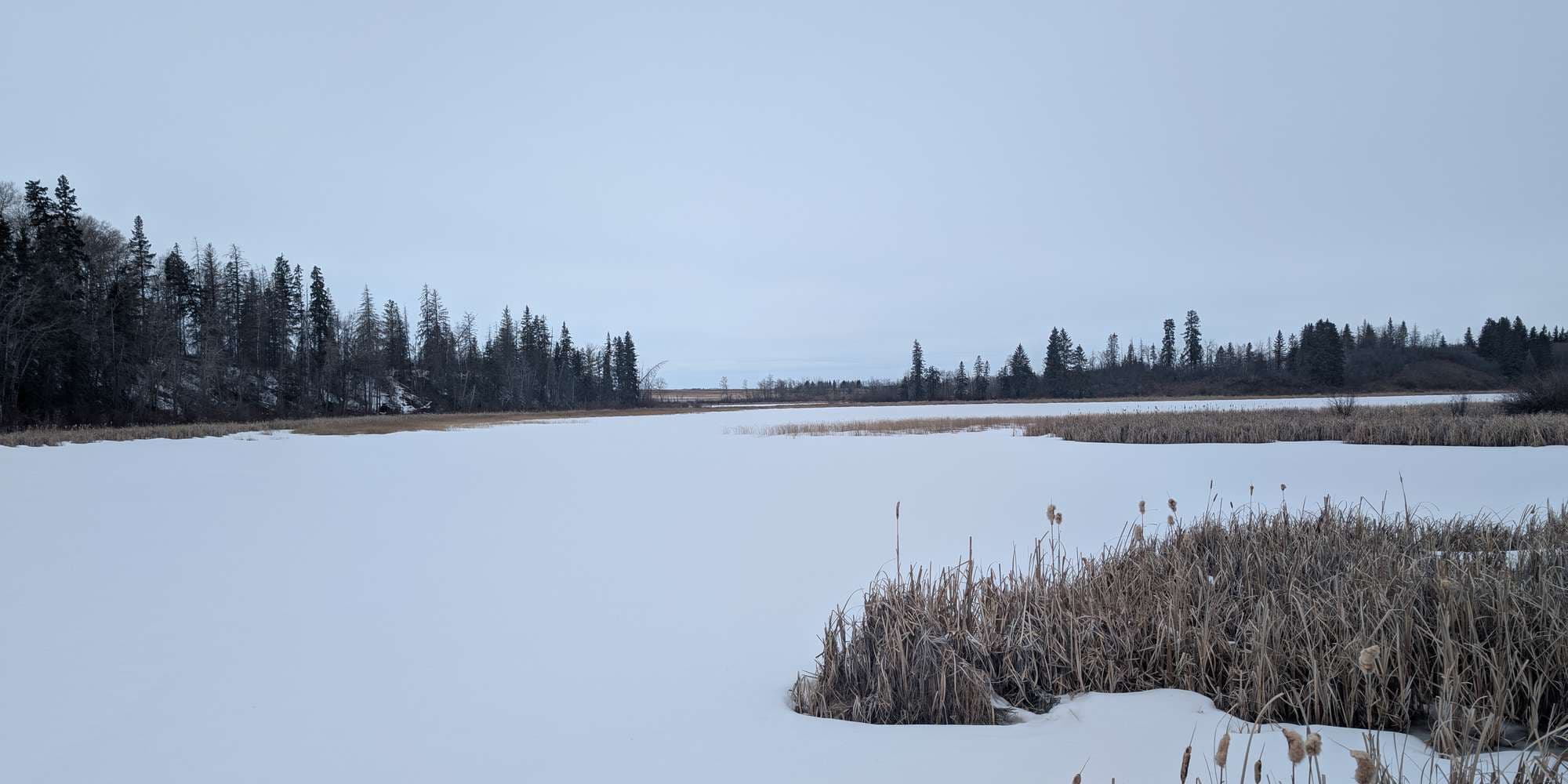 First image to compare