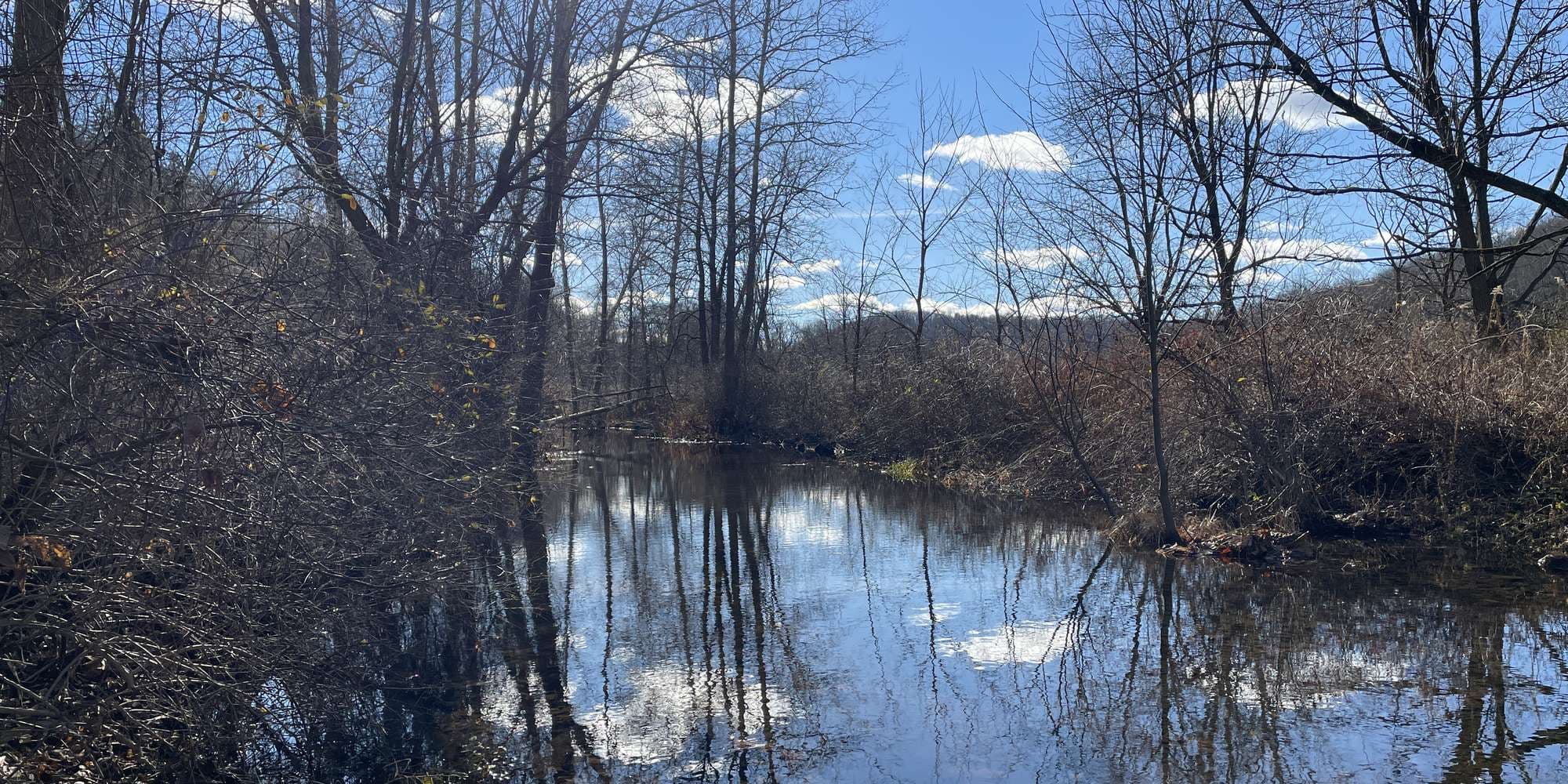 First image to compare