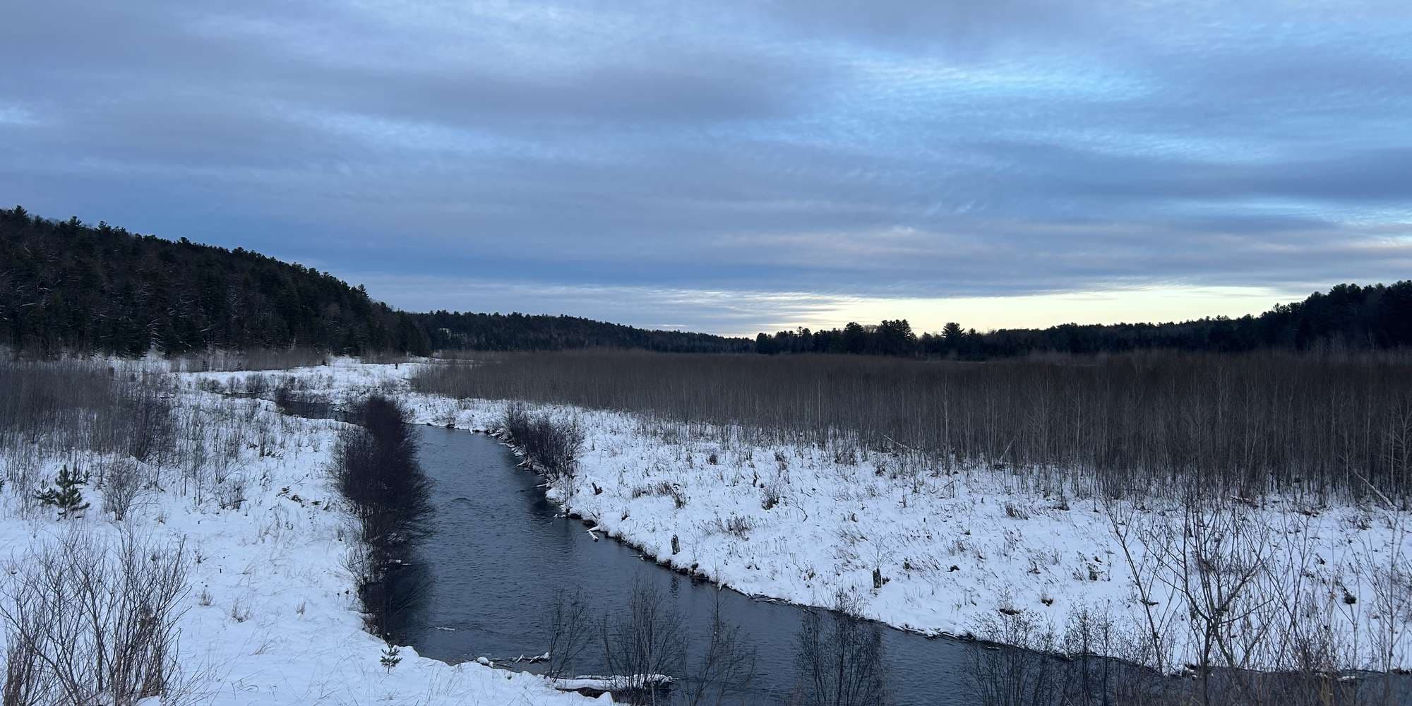 Second image to compare