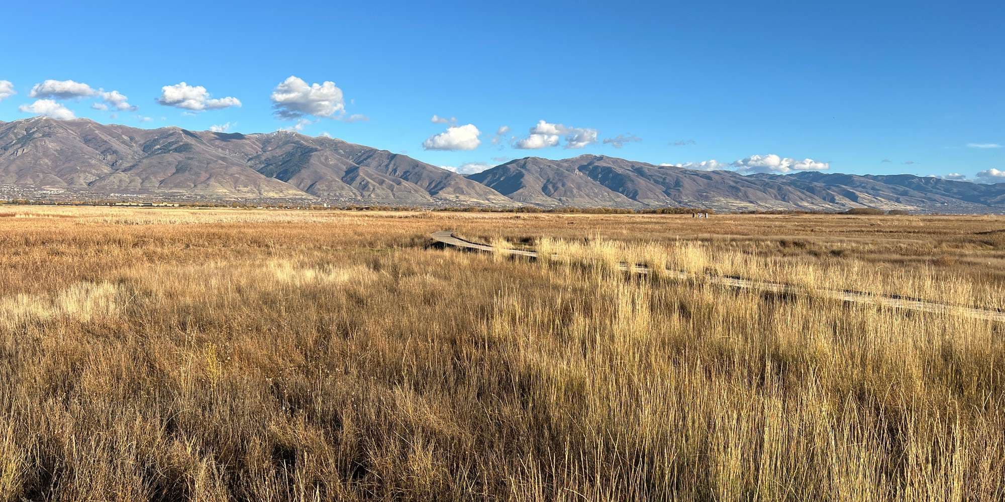 Second image to compare