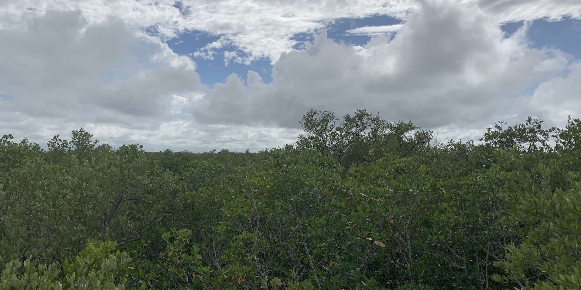 First image to compare