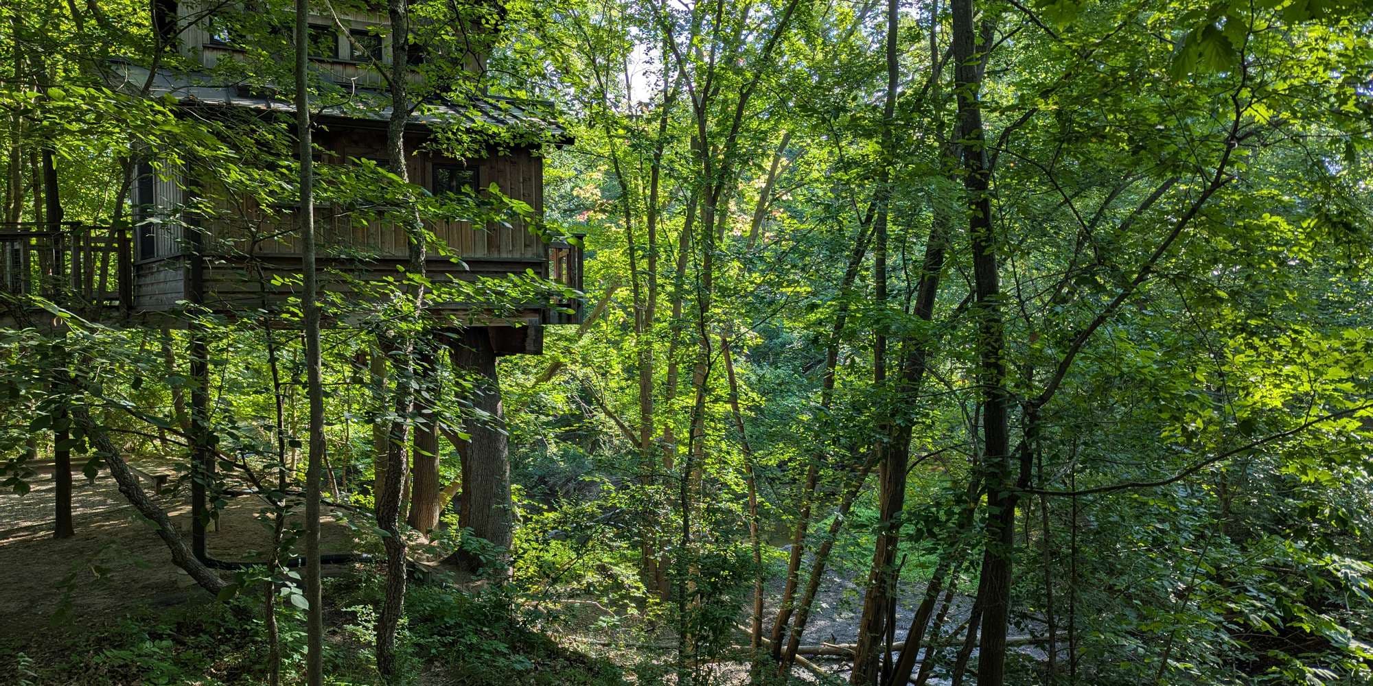 First image to compare