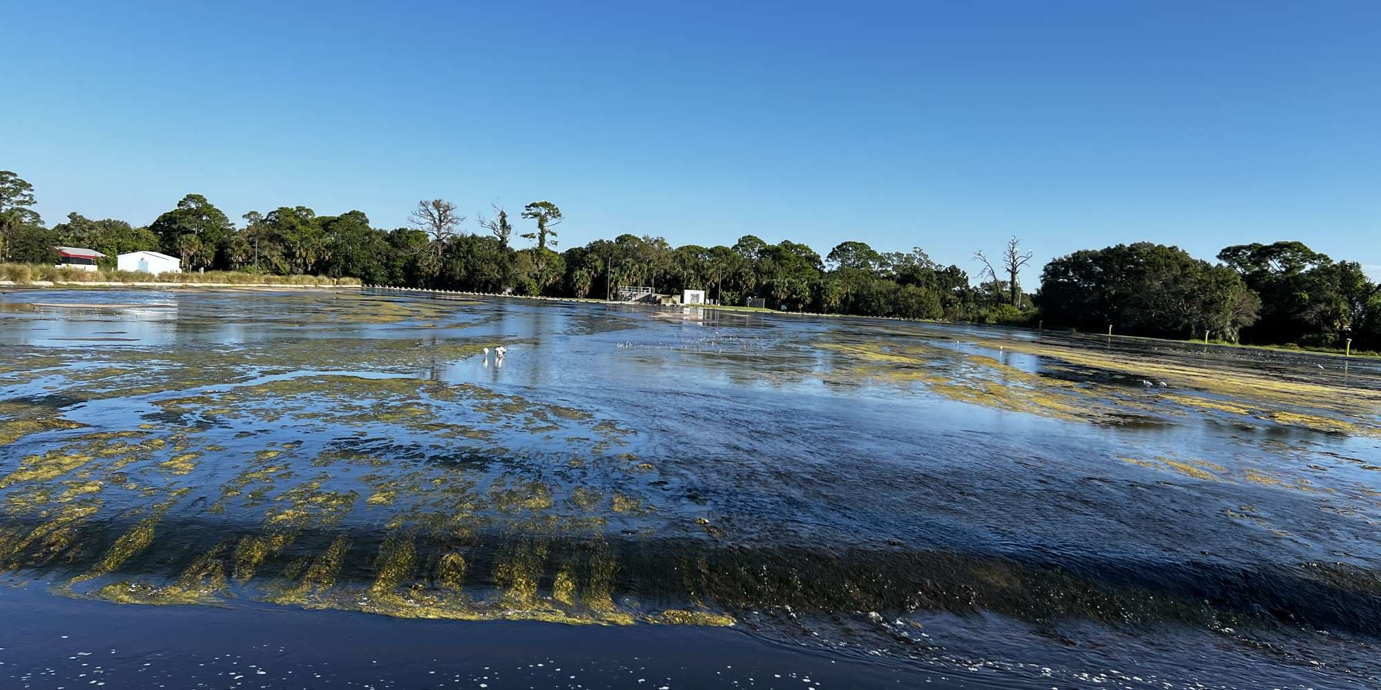 Second image to compare