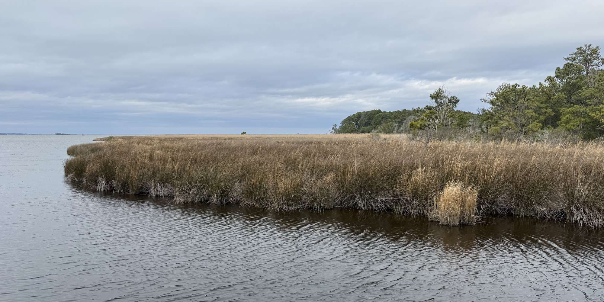 Second image to compare