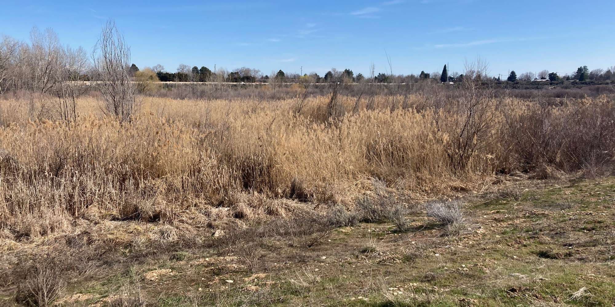 First image to compare