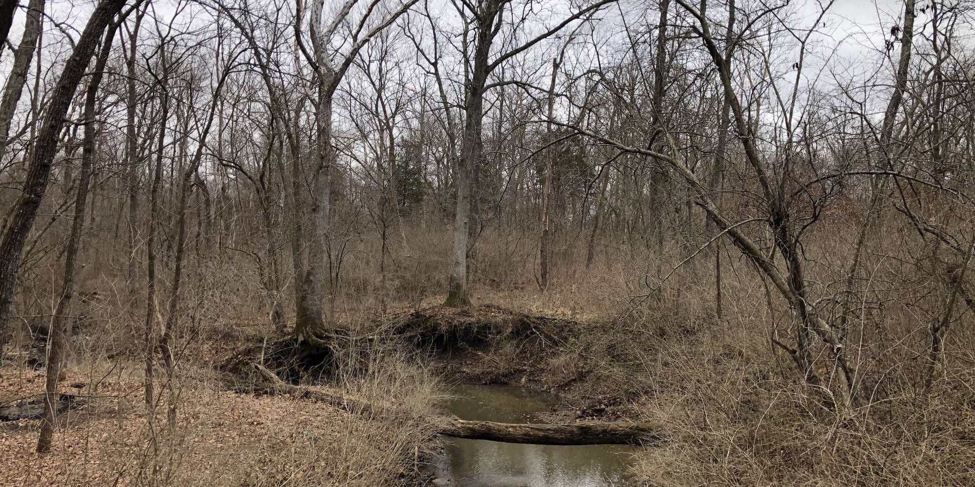 First image to compare