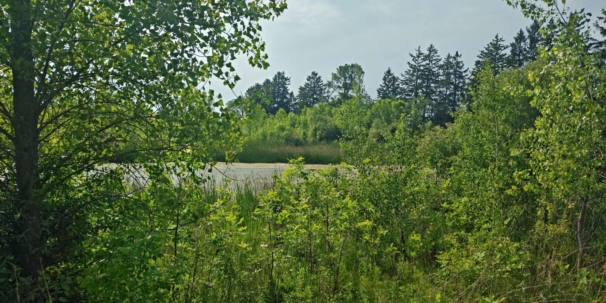 First image to compare