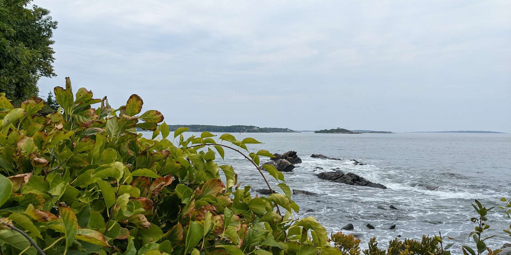 First image to compare