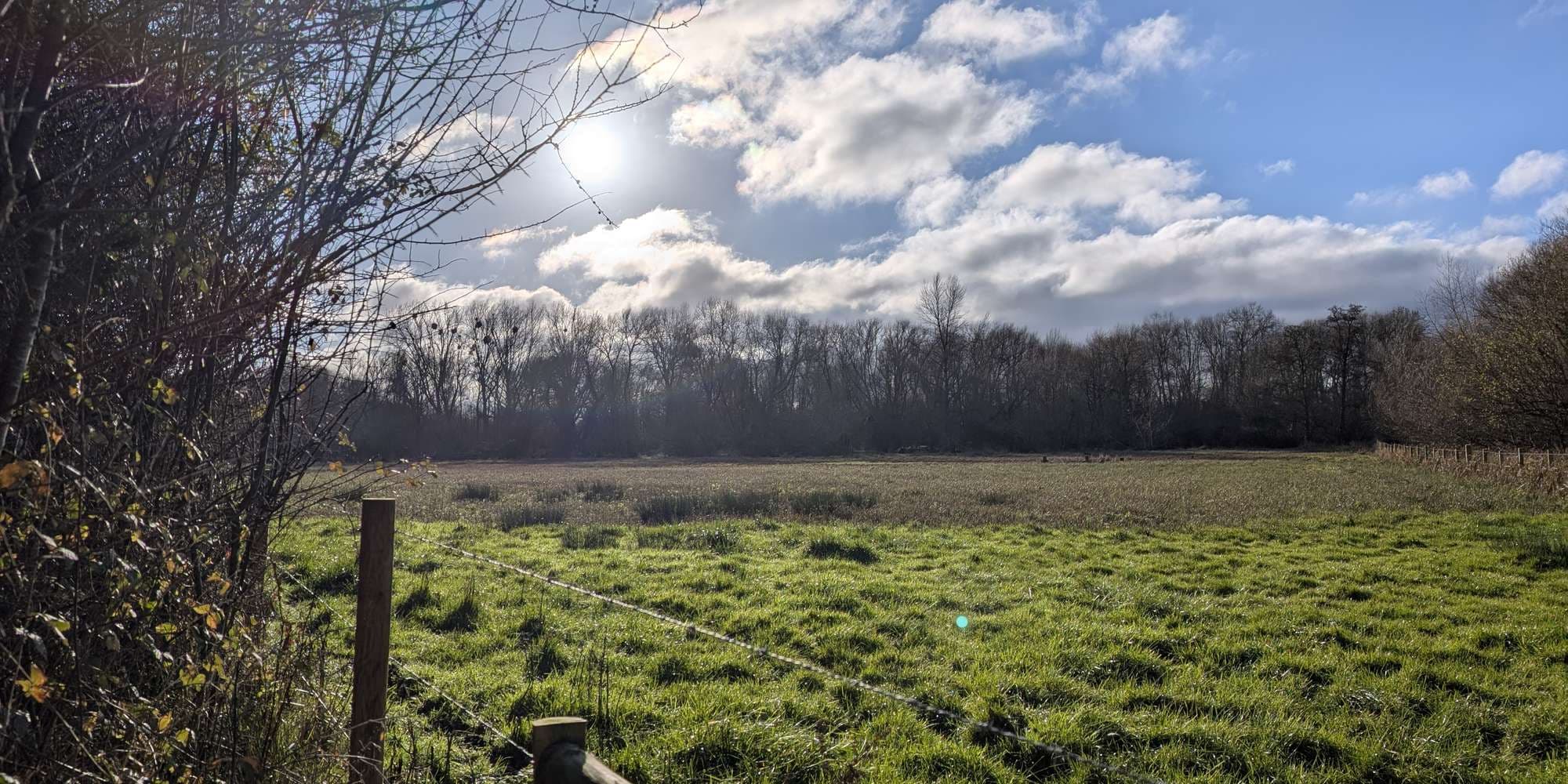 Second image to compare