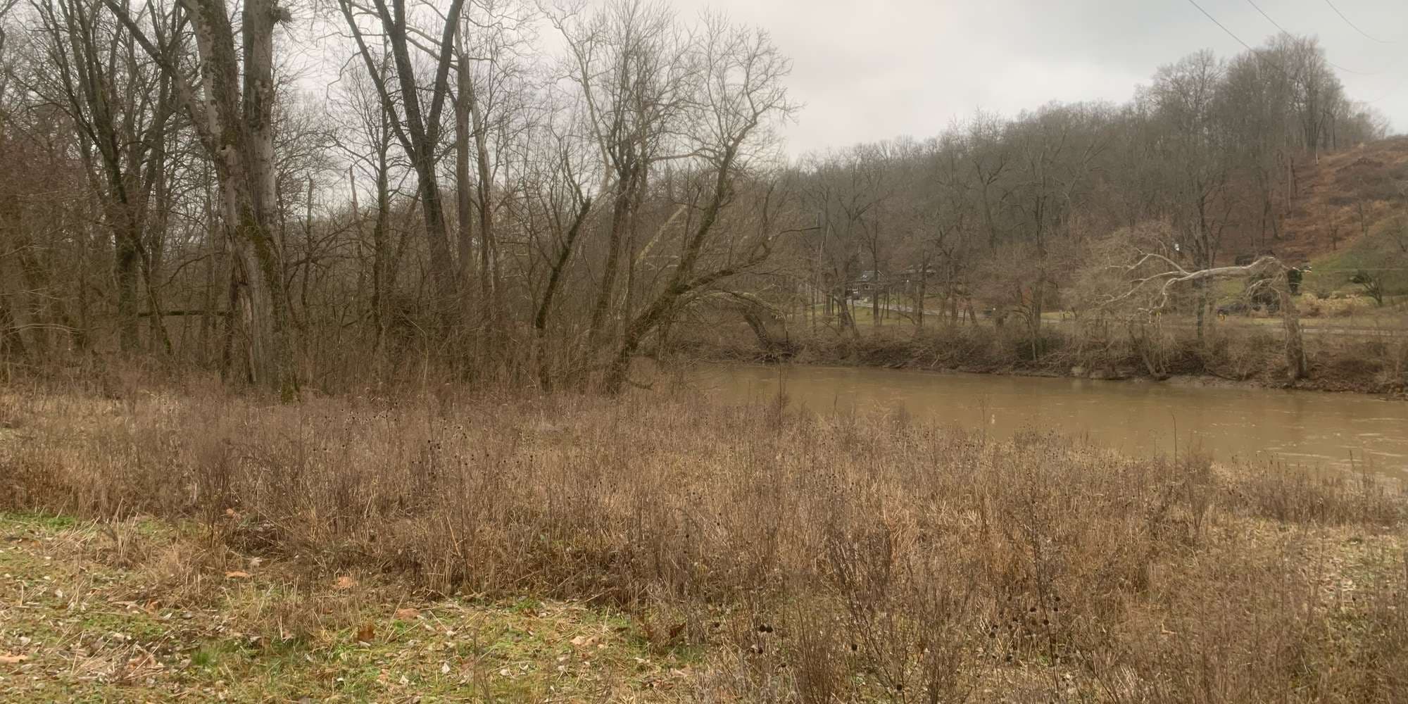 First image to compare