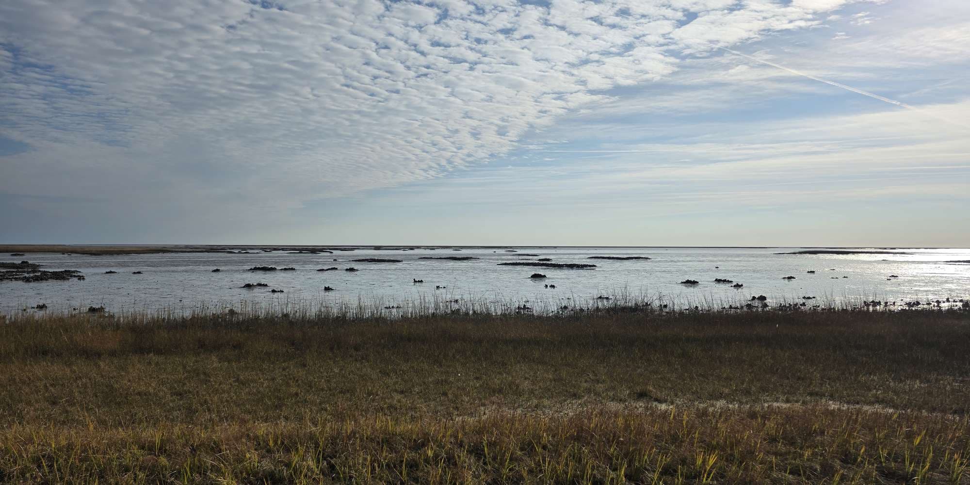 Second image to compare