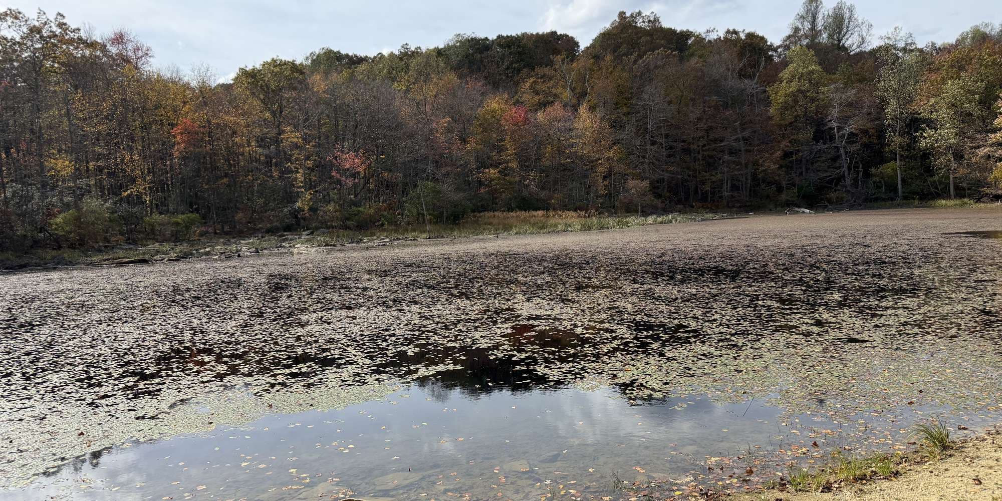 Second image to compare