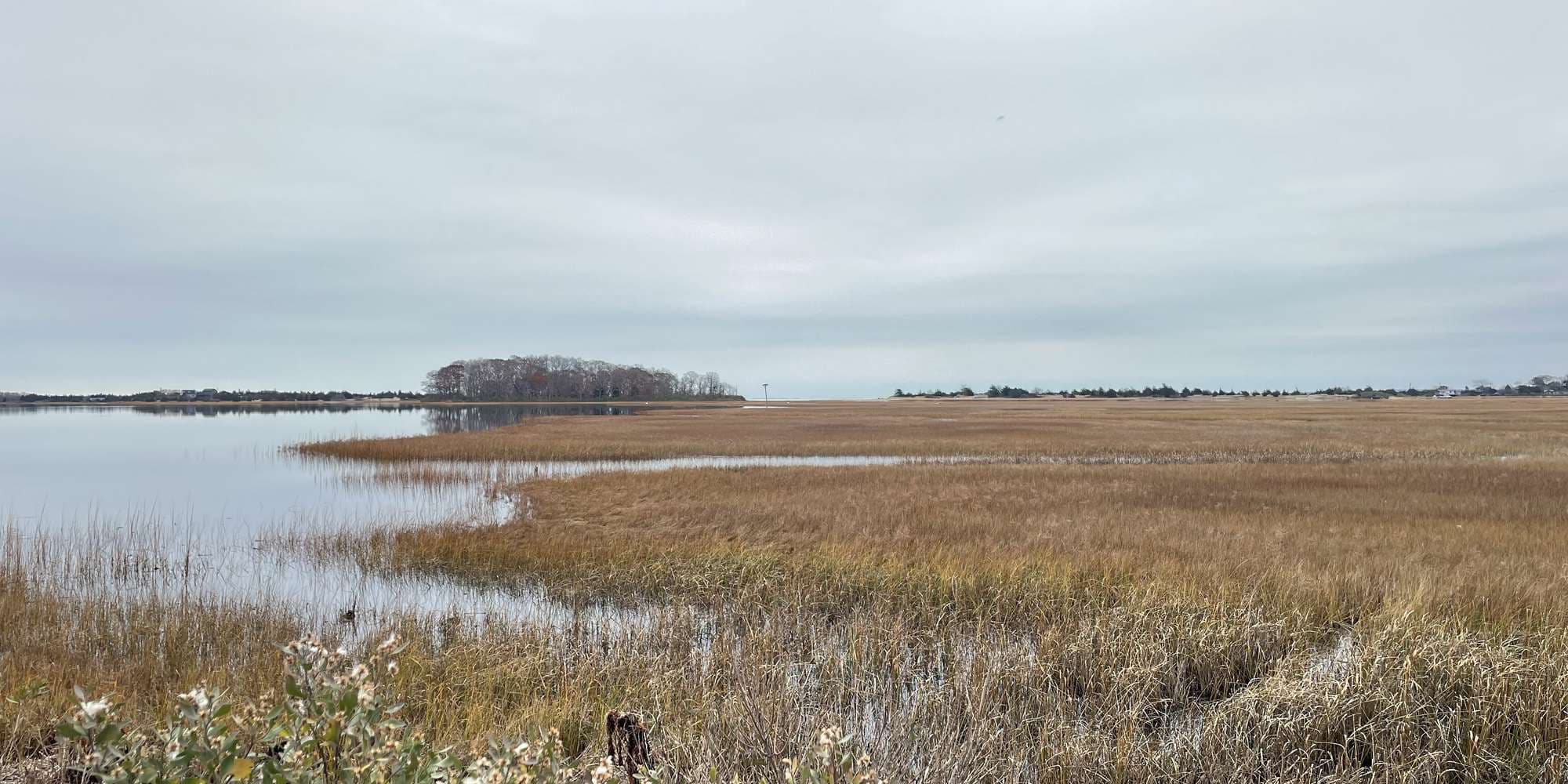 Second image to compare