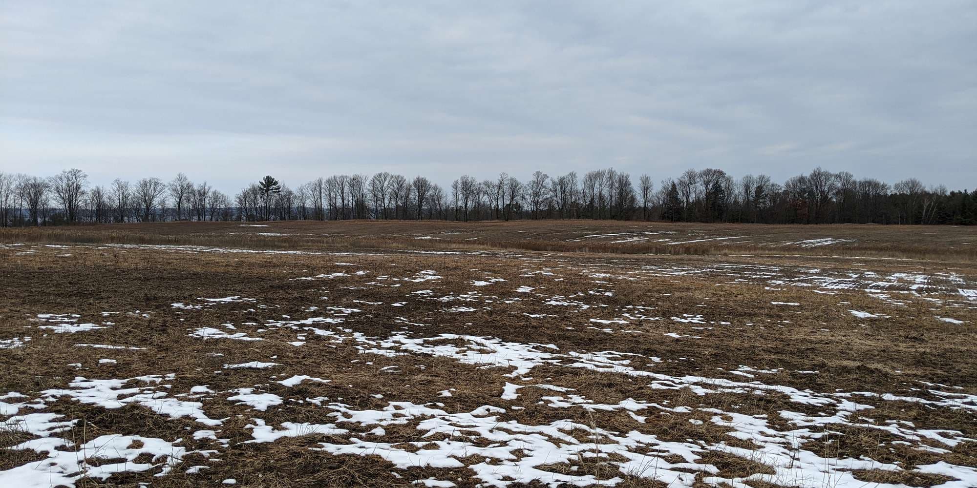 First image to compare