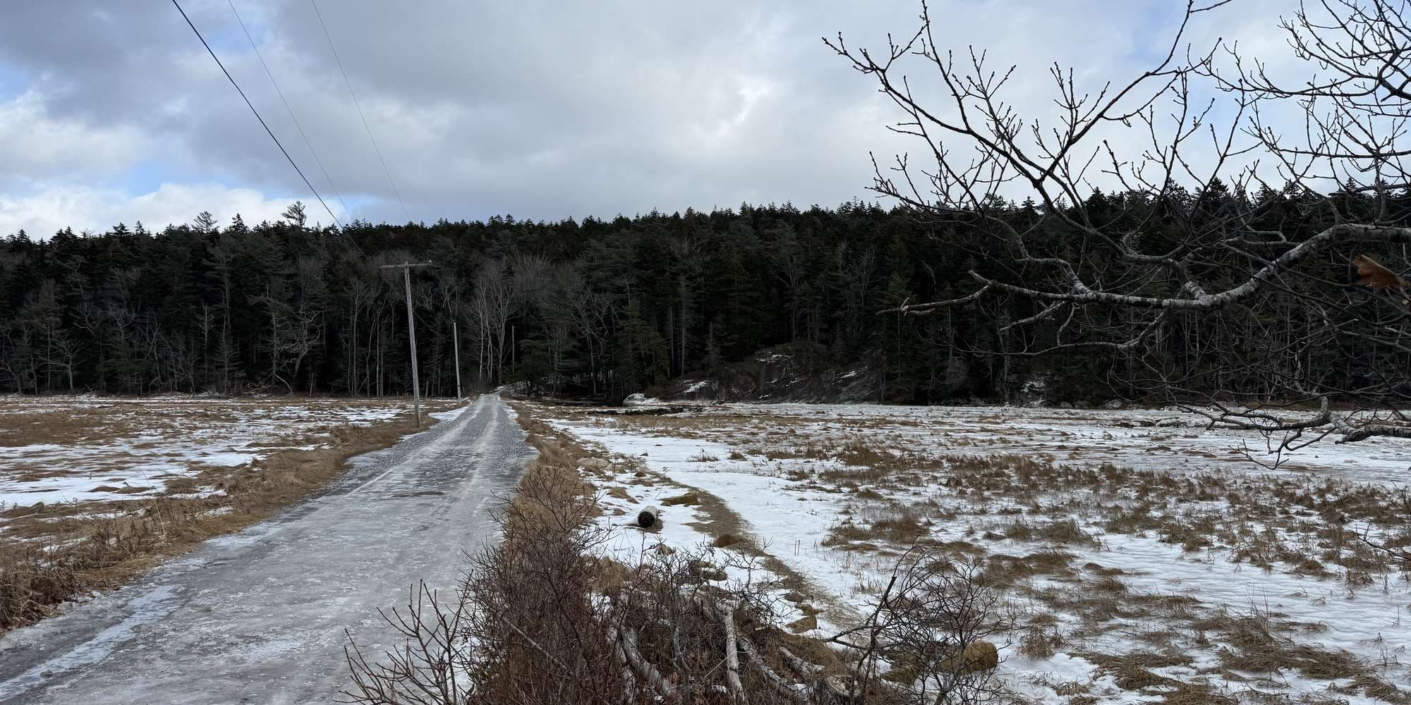 Second image to compare