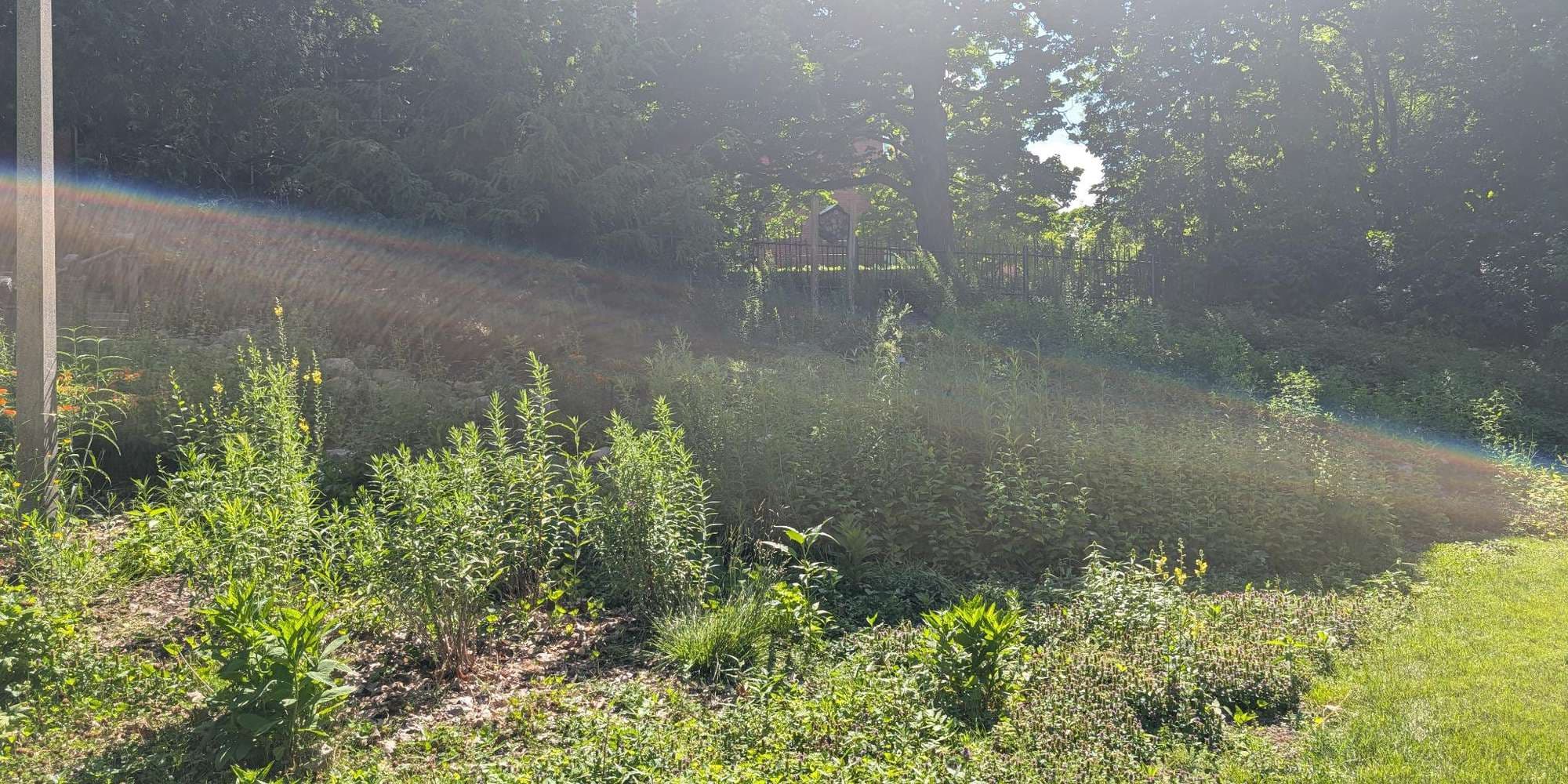 First image to compare