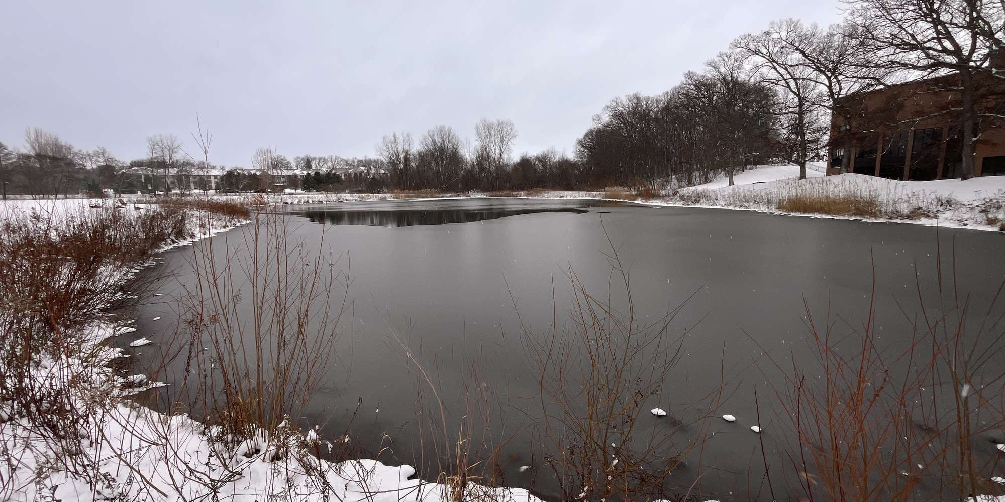 First image to compare