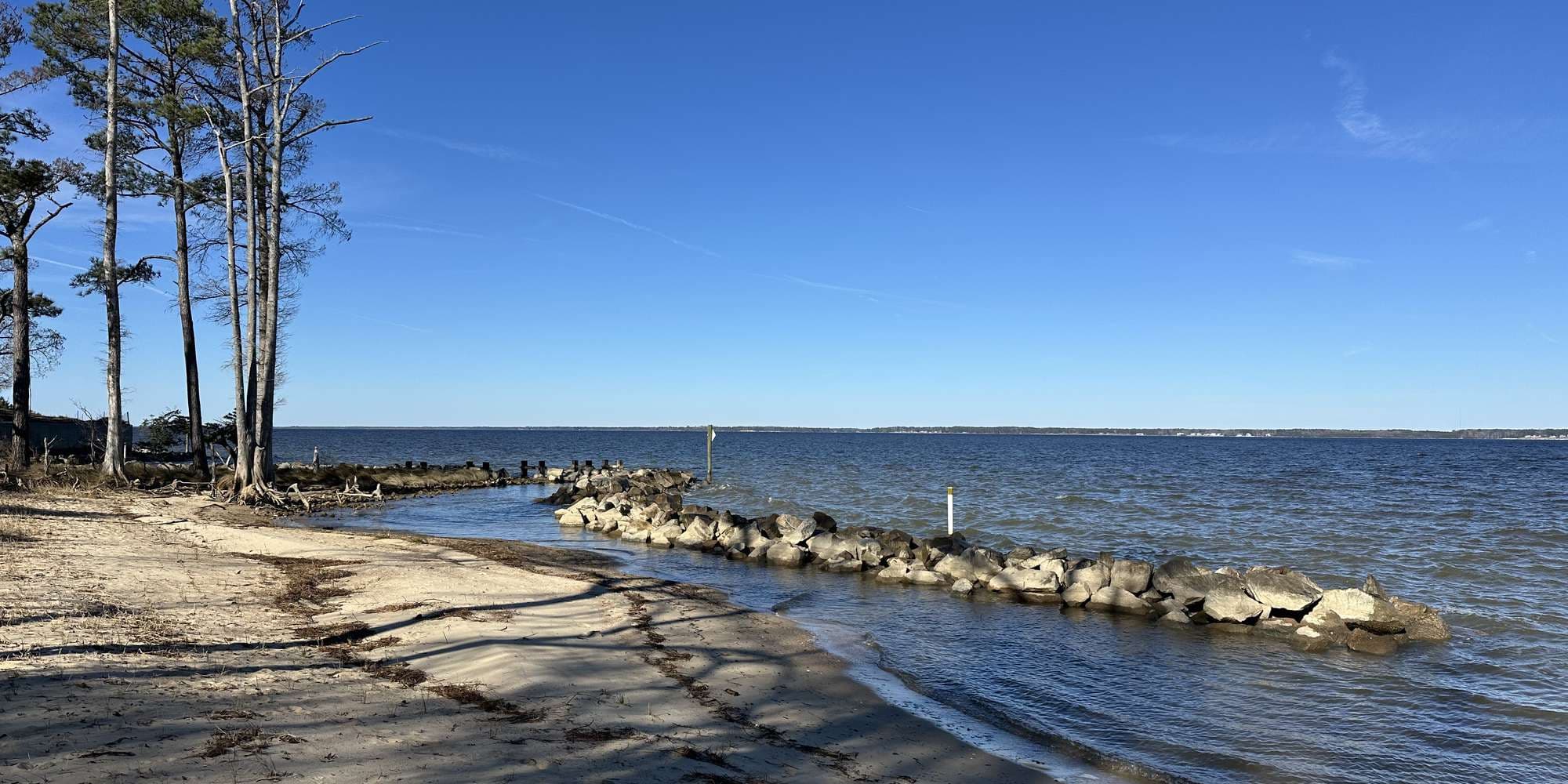 Second image to compare