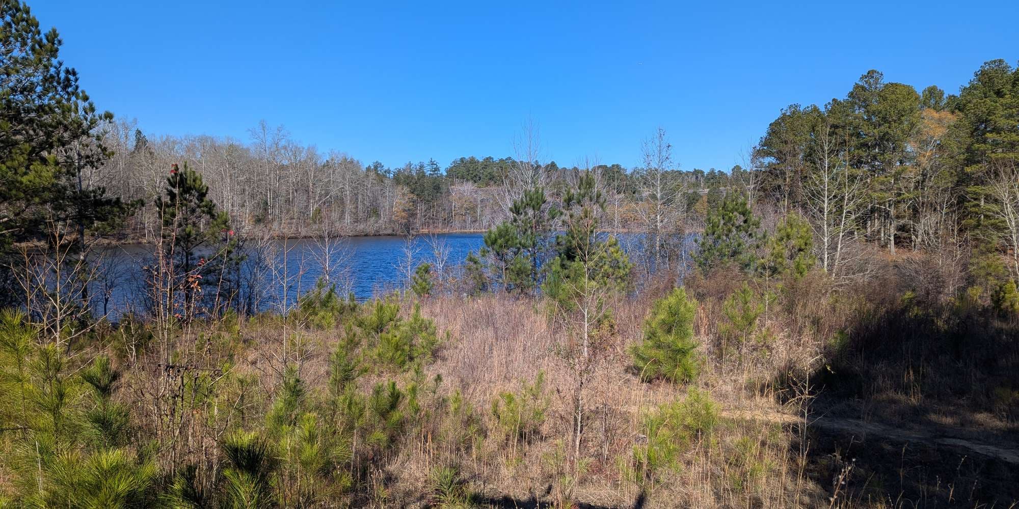 Second image to compare