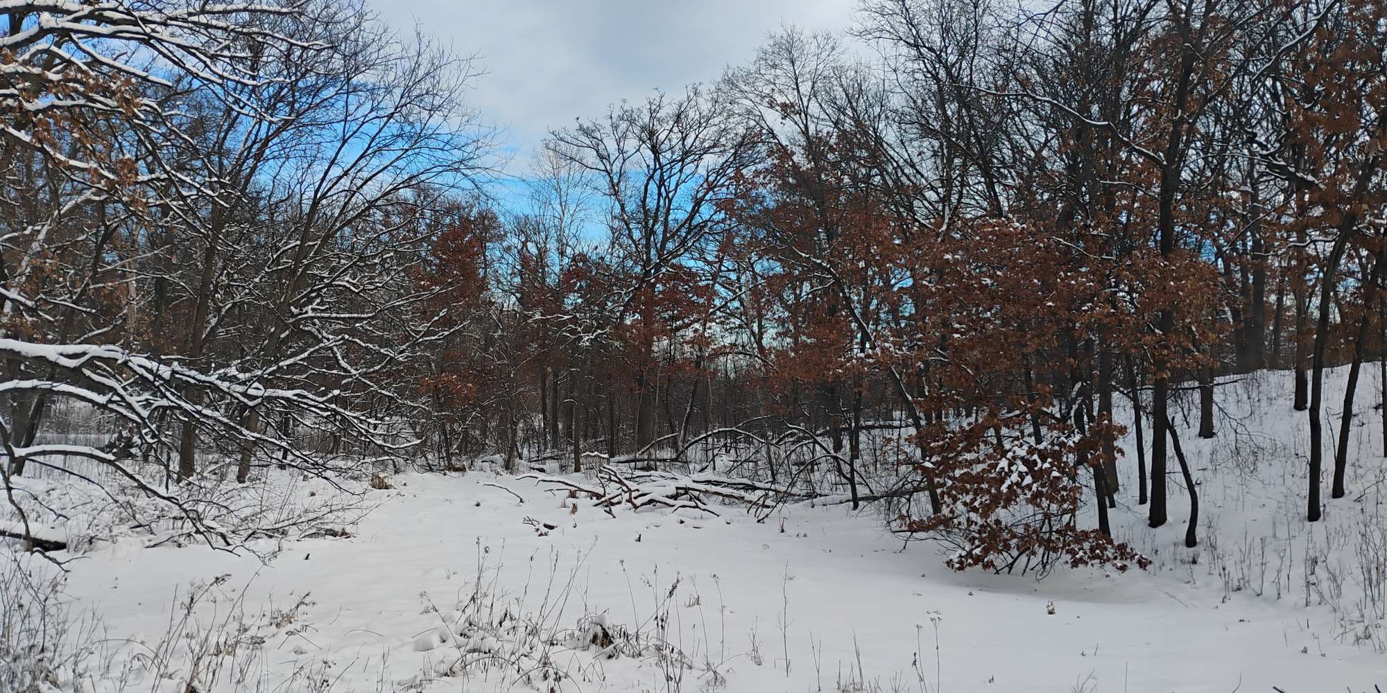 Second image to compare