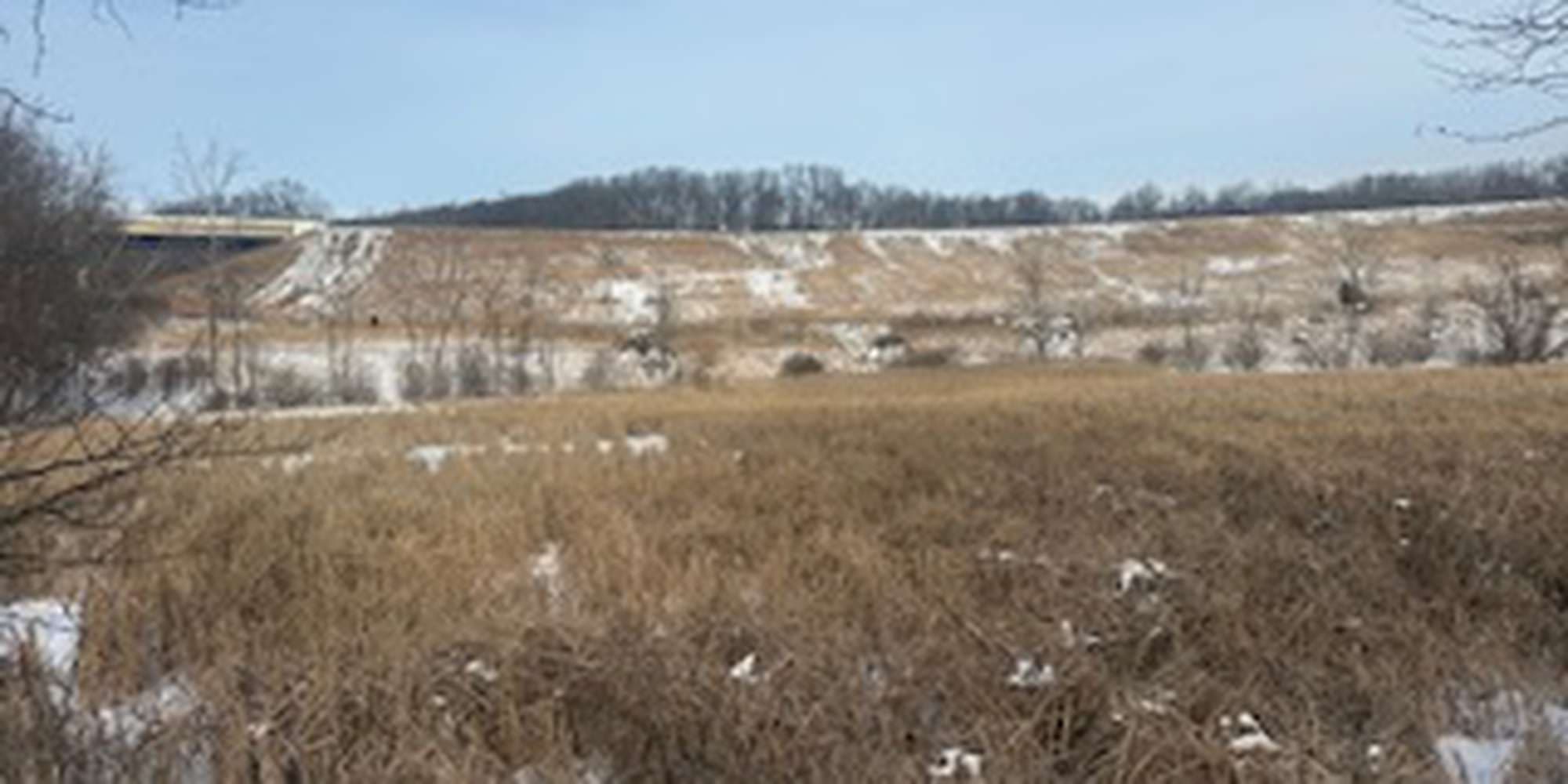 Second image to compare