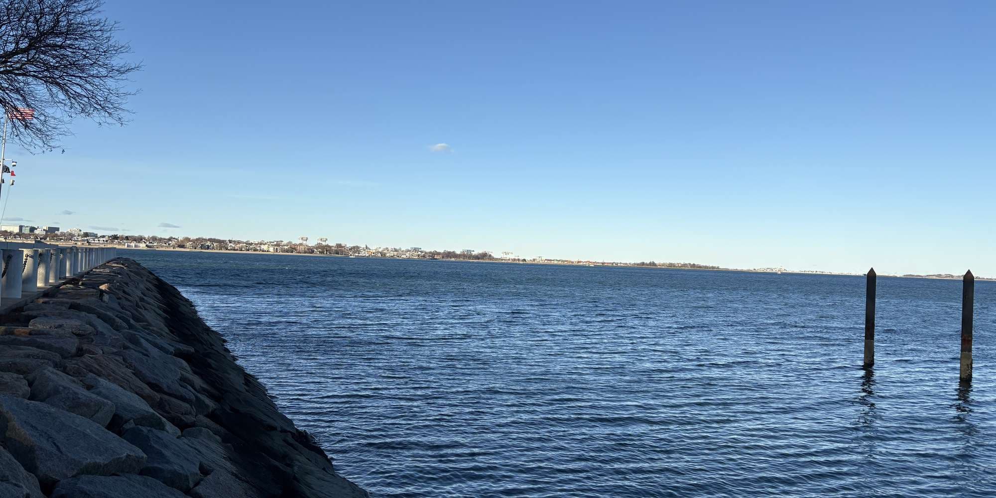 Second image to compare