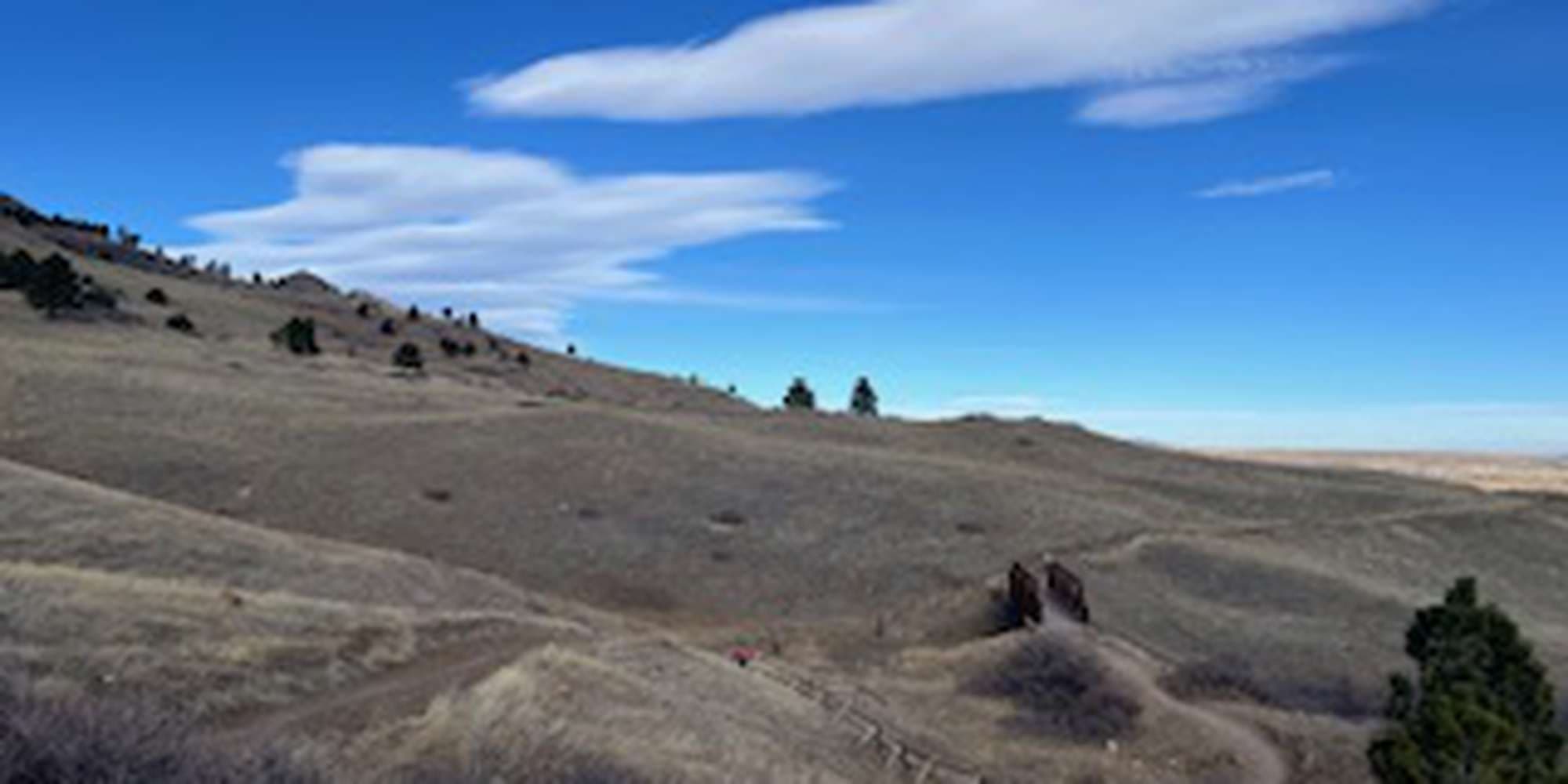 Second image to compare