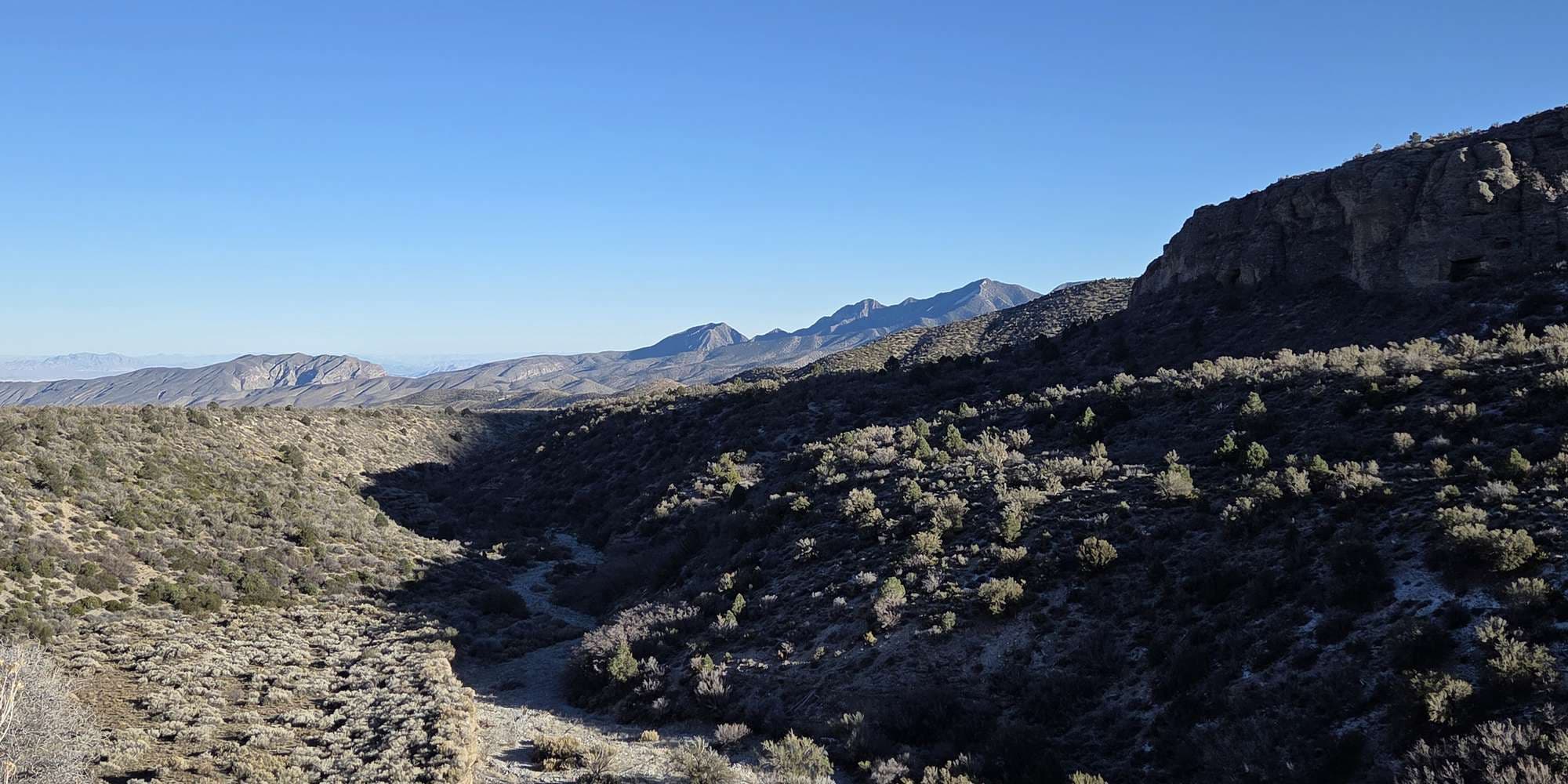 Second image to compare