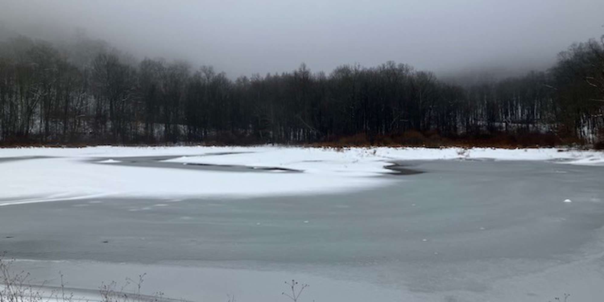 Second image to compare