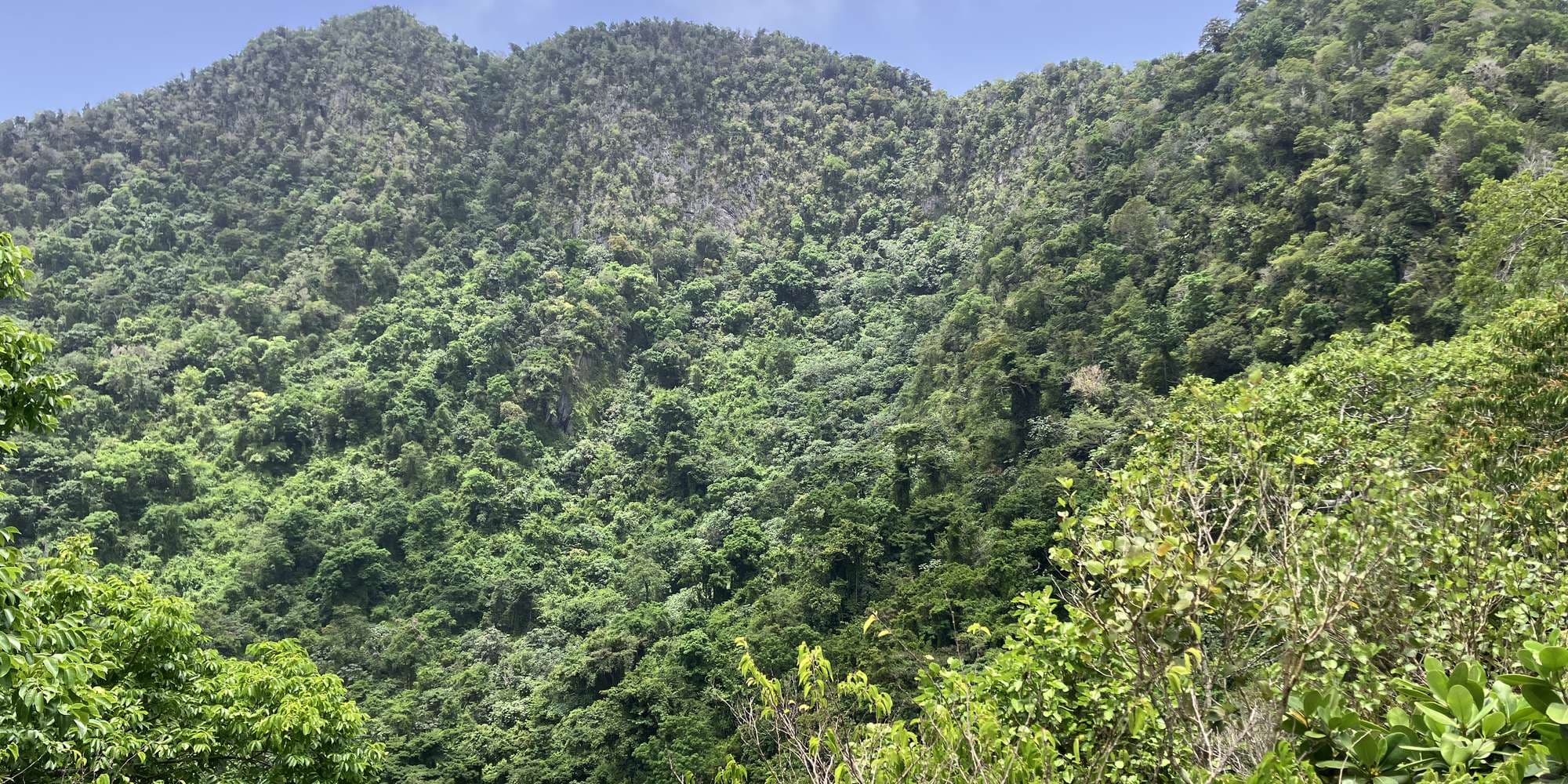 First image to compare