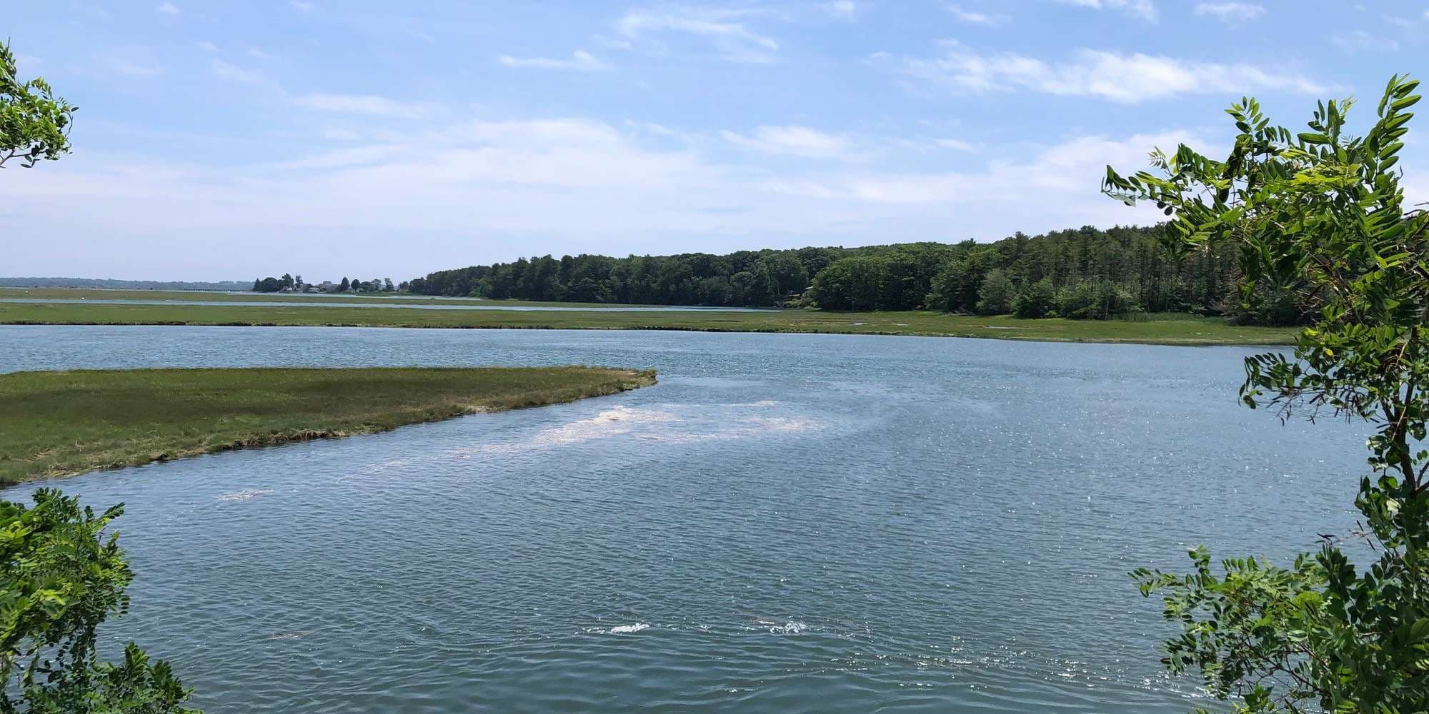 First image to compare