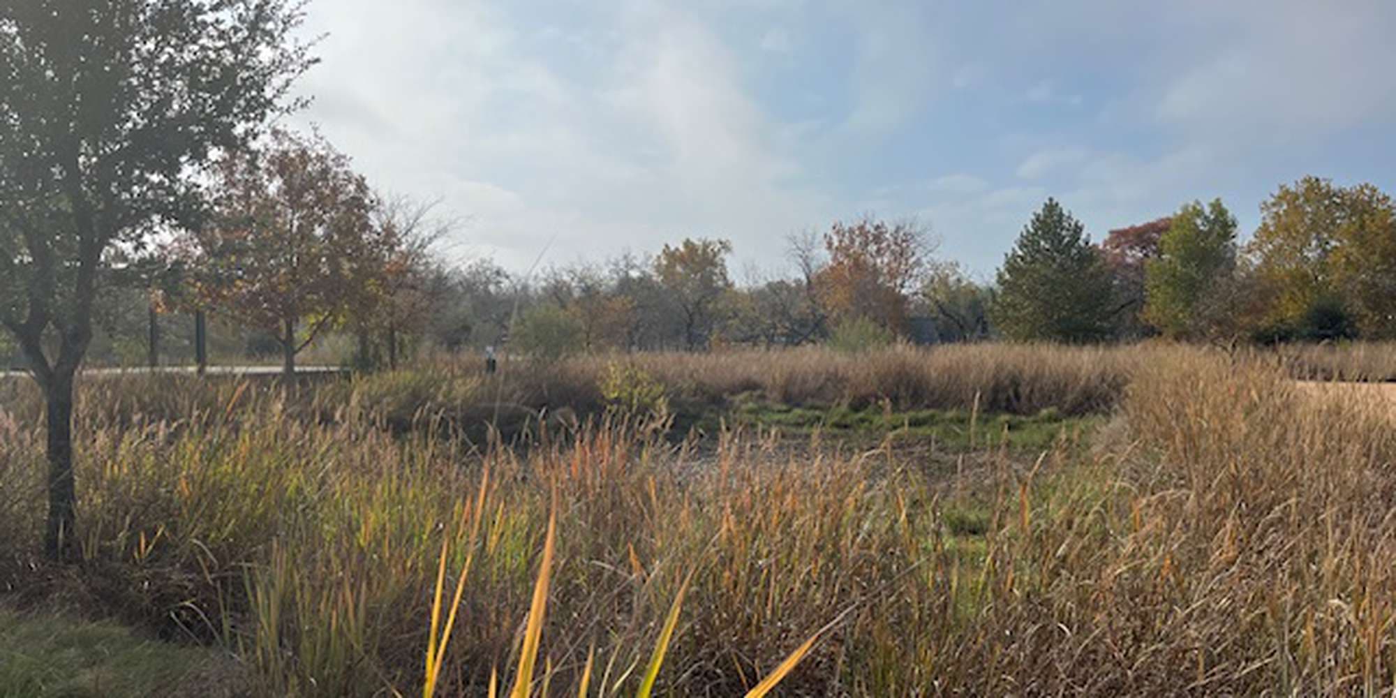 Second image to compare