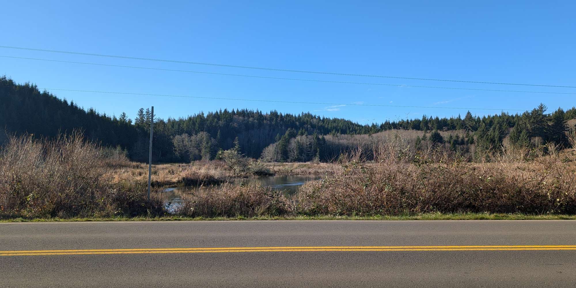 Second image to compare