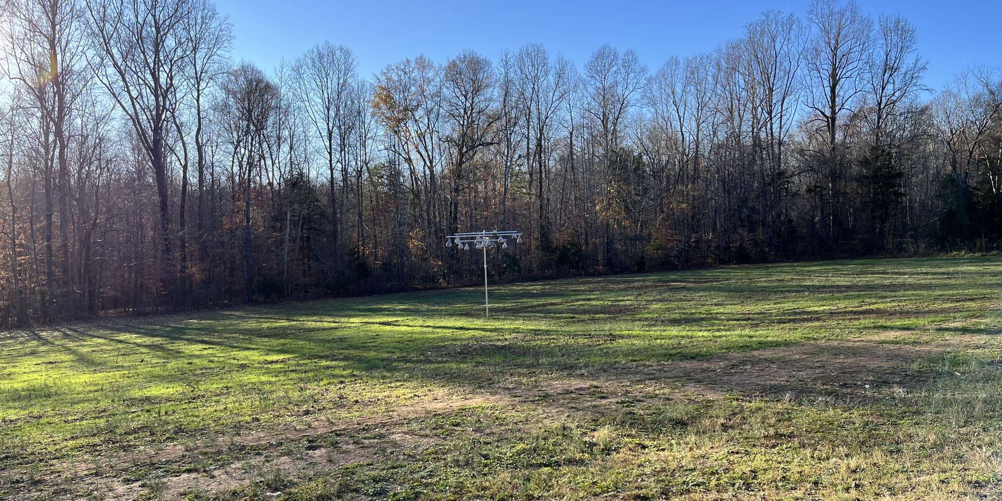 Second image to compare