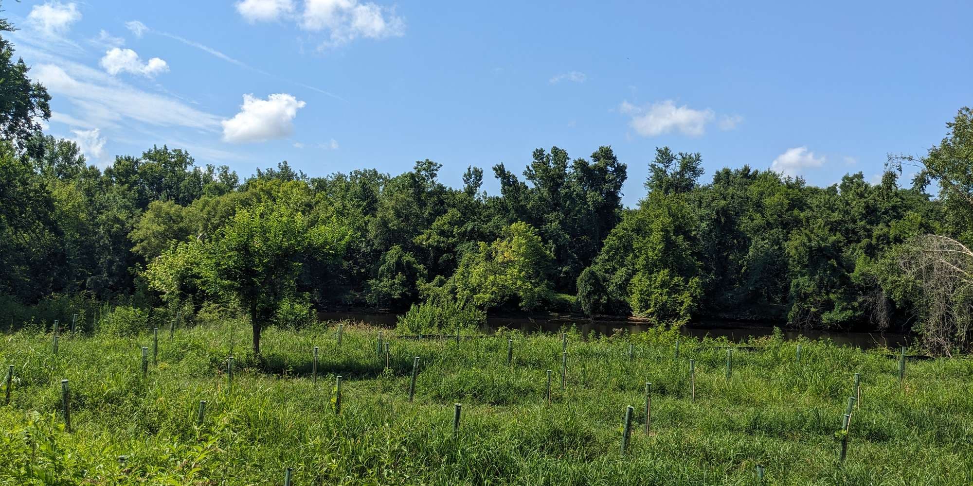 First image to compare