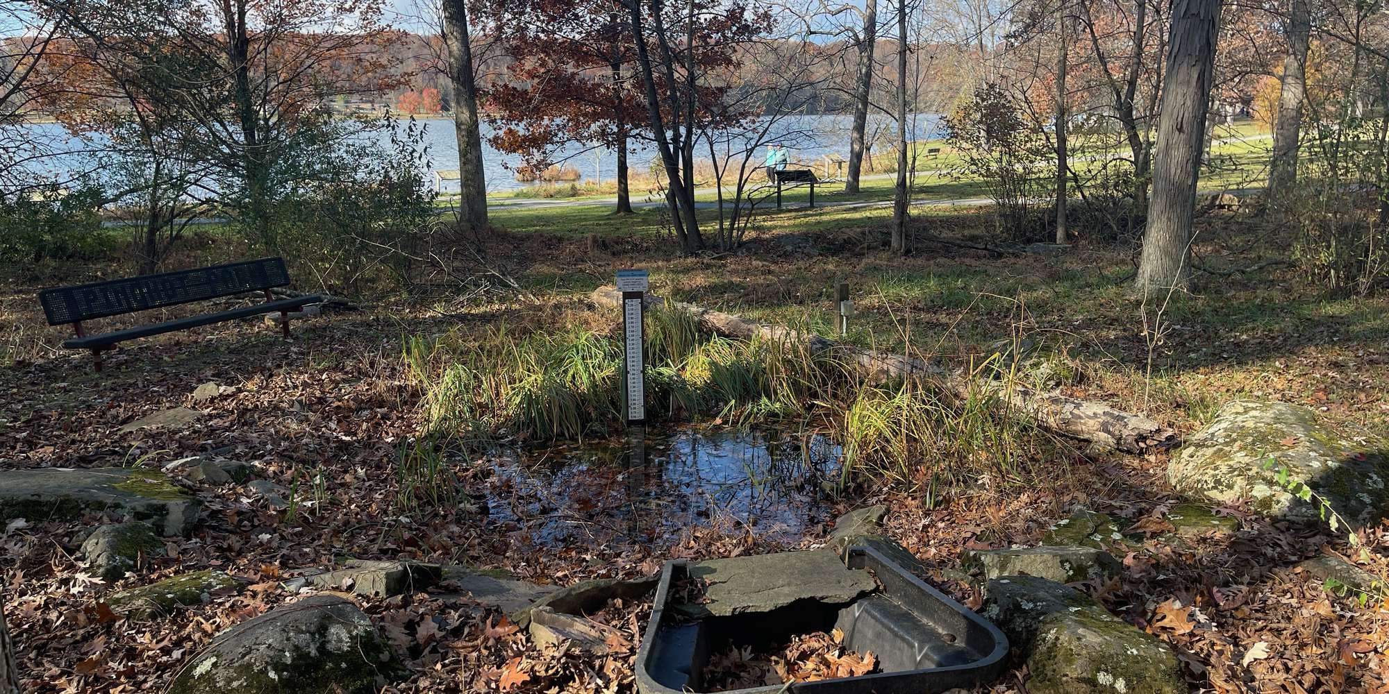 Second image to compare