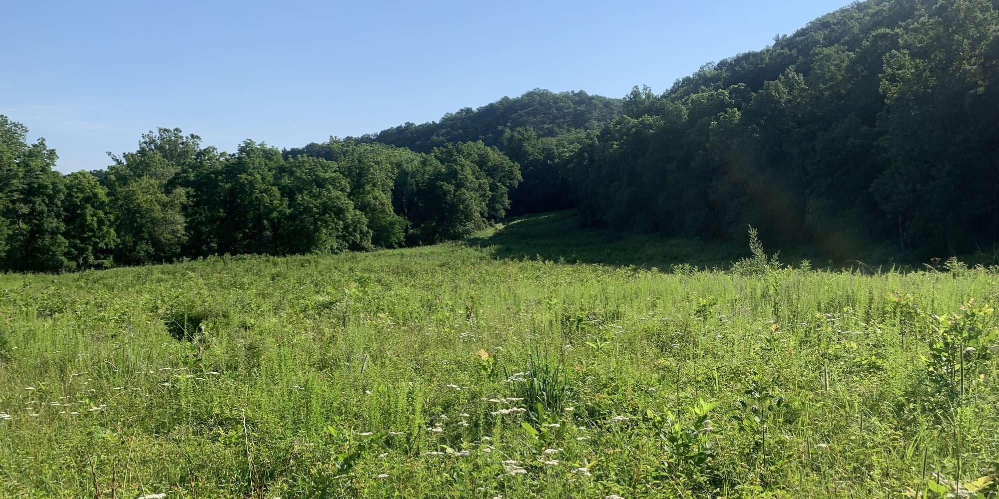 First image to compare