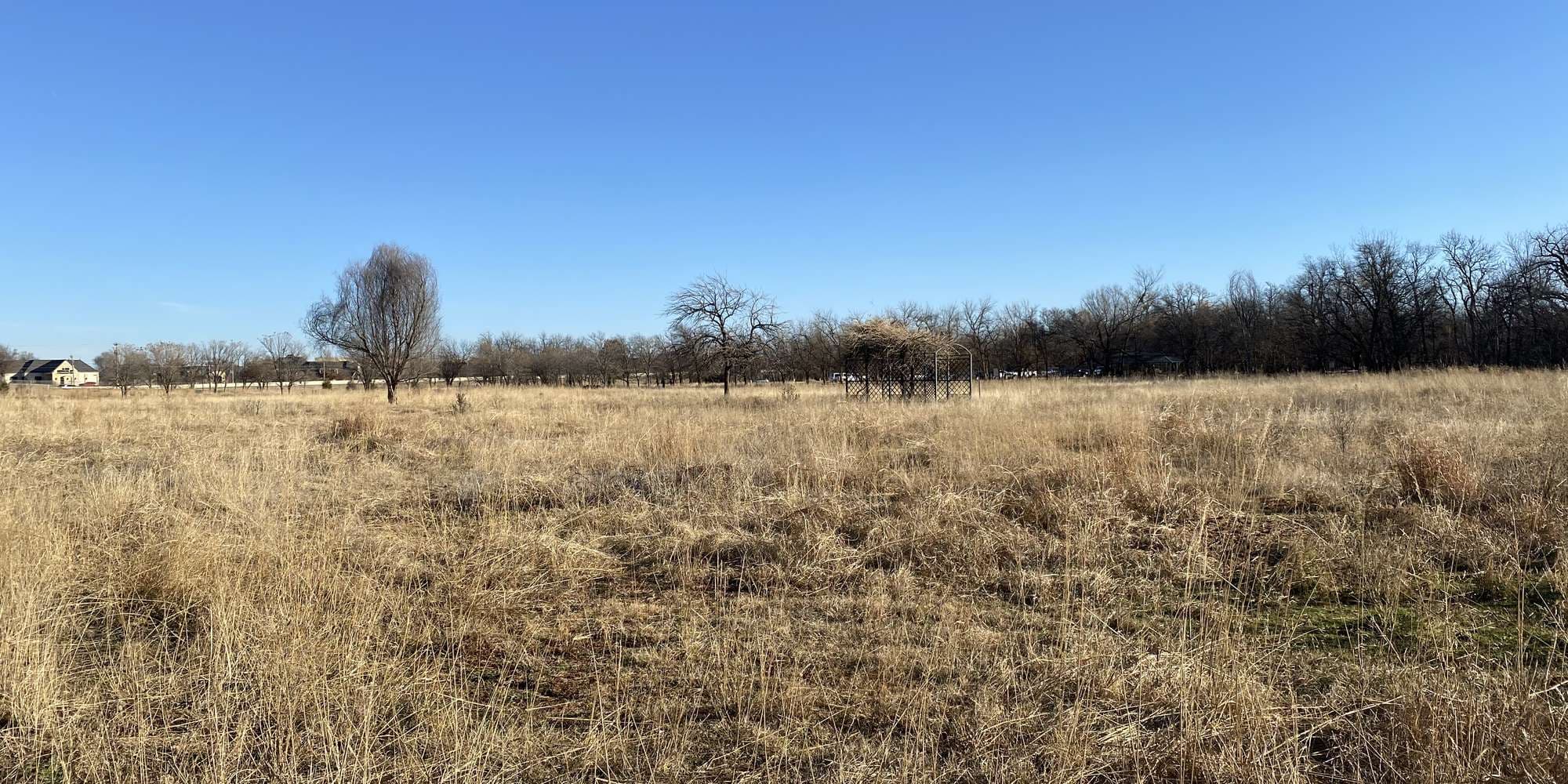 Second image to compare