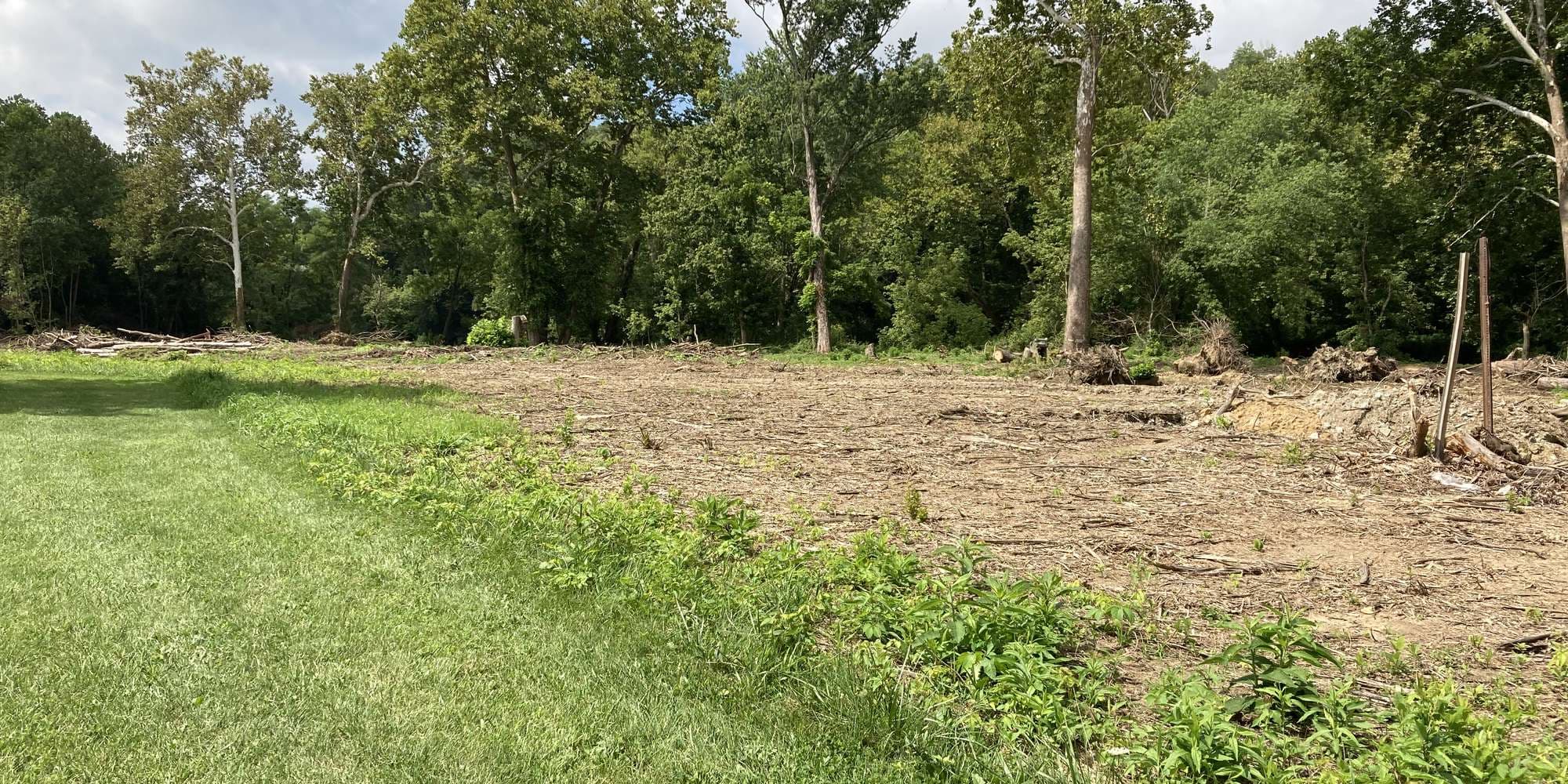 First image to compare