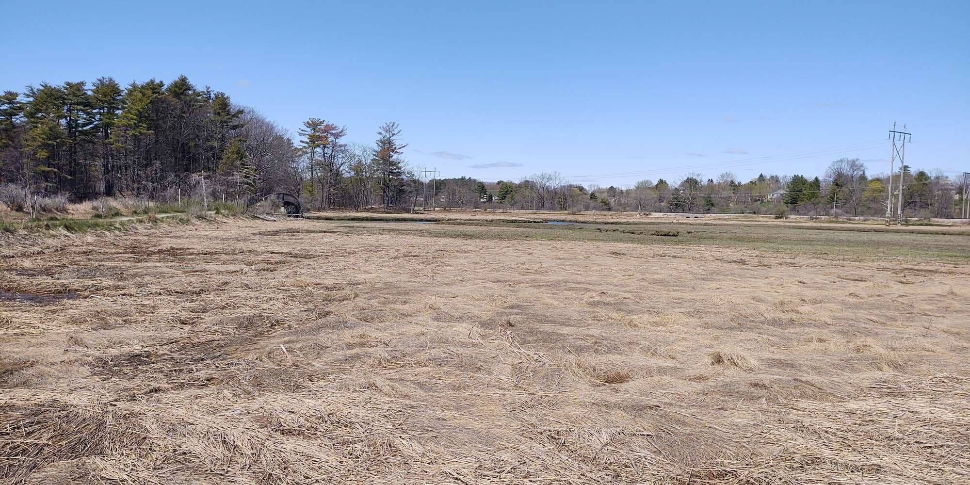 First image to compare