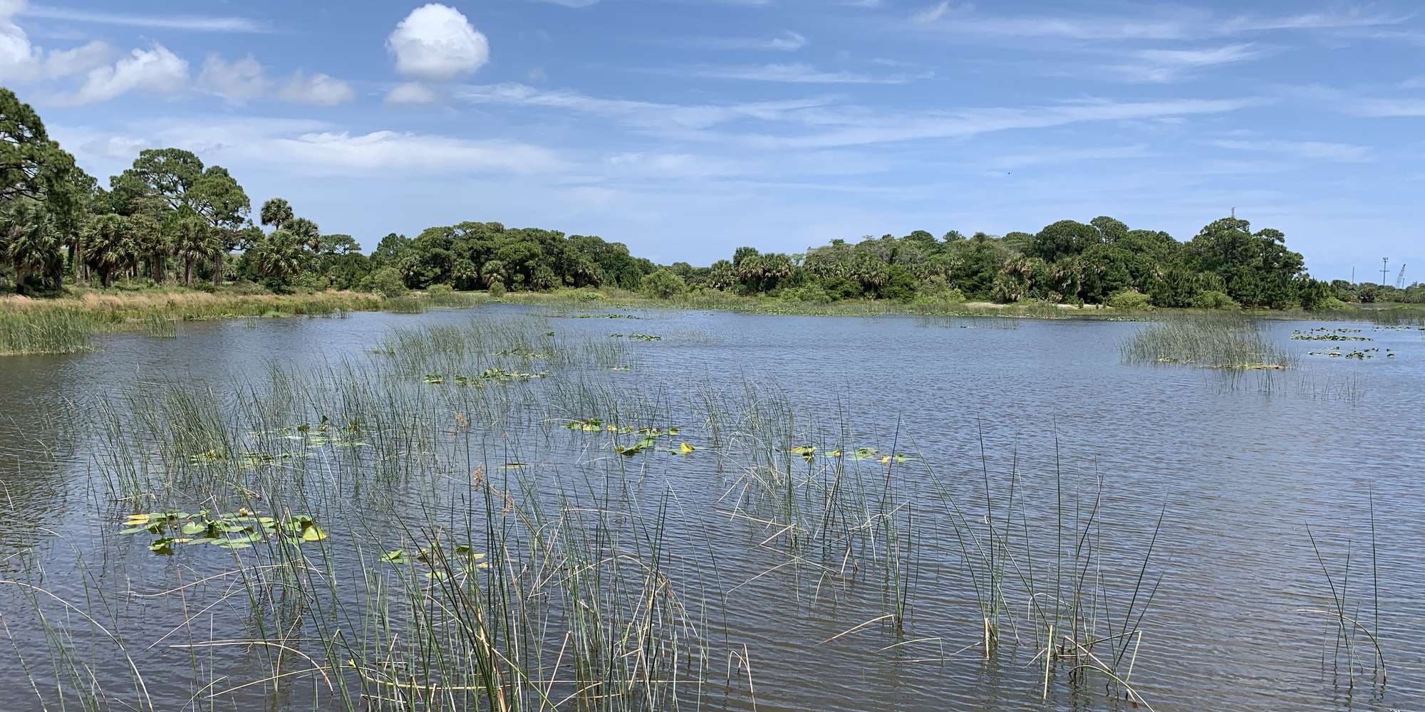 First image to compare