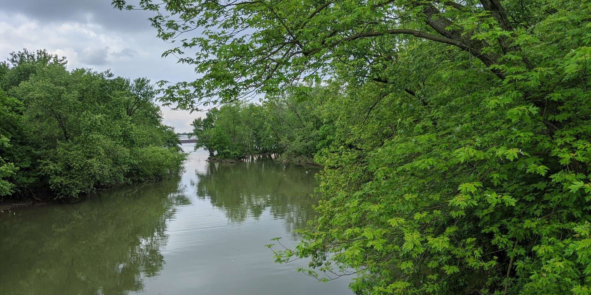 First image to compare