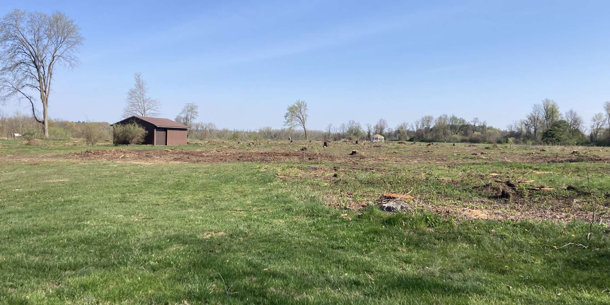 First image to compare