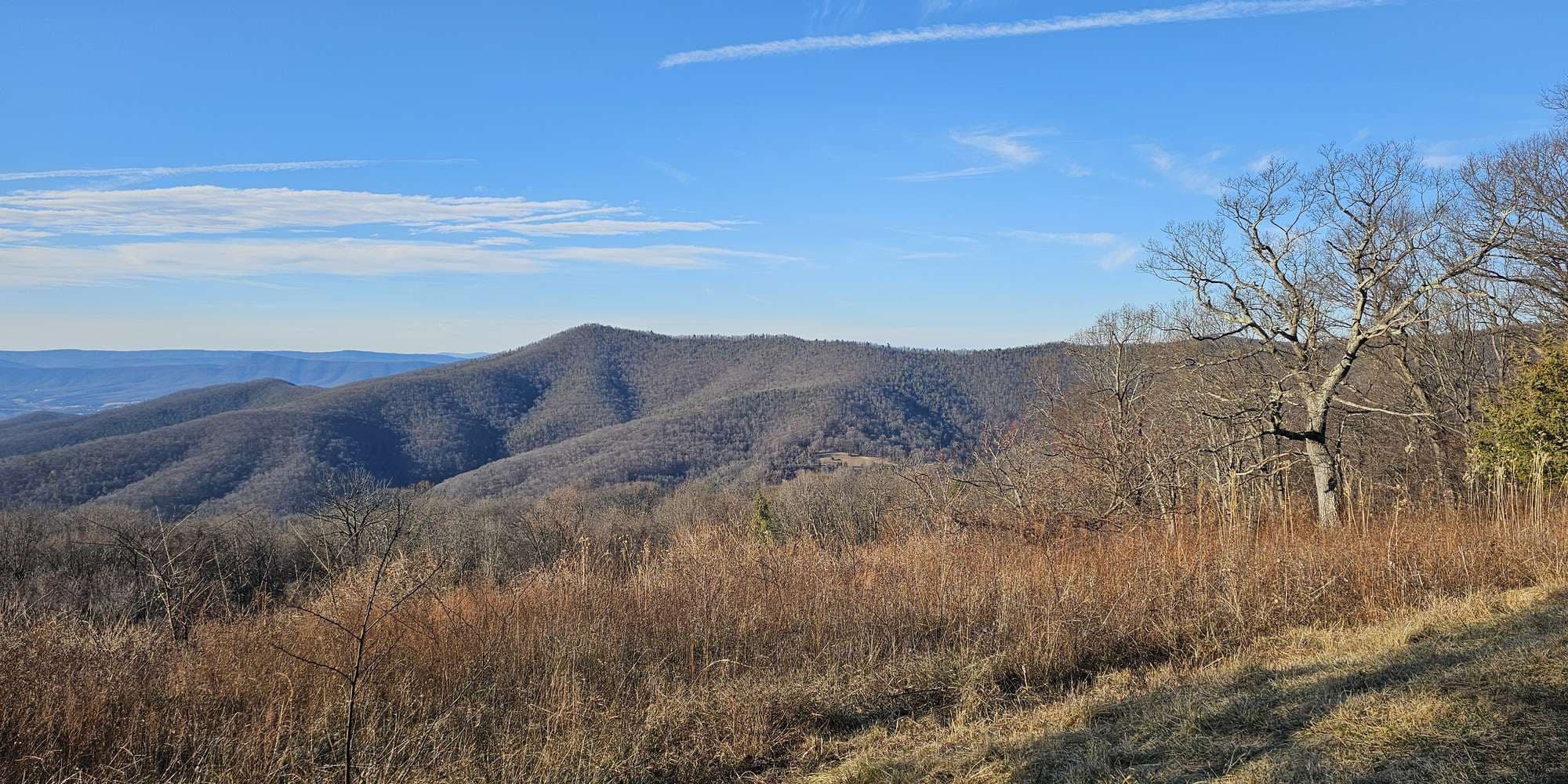 Second image to compare