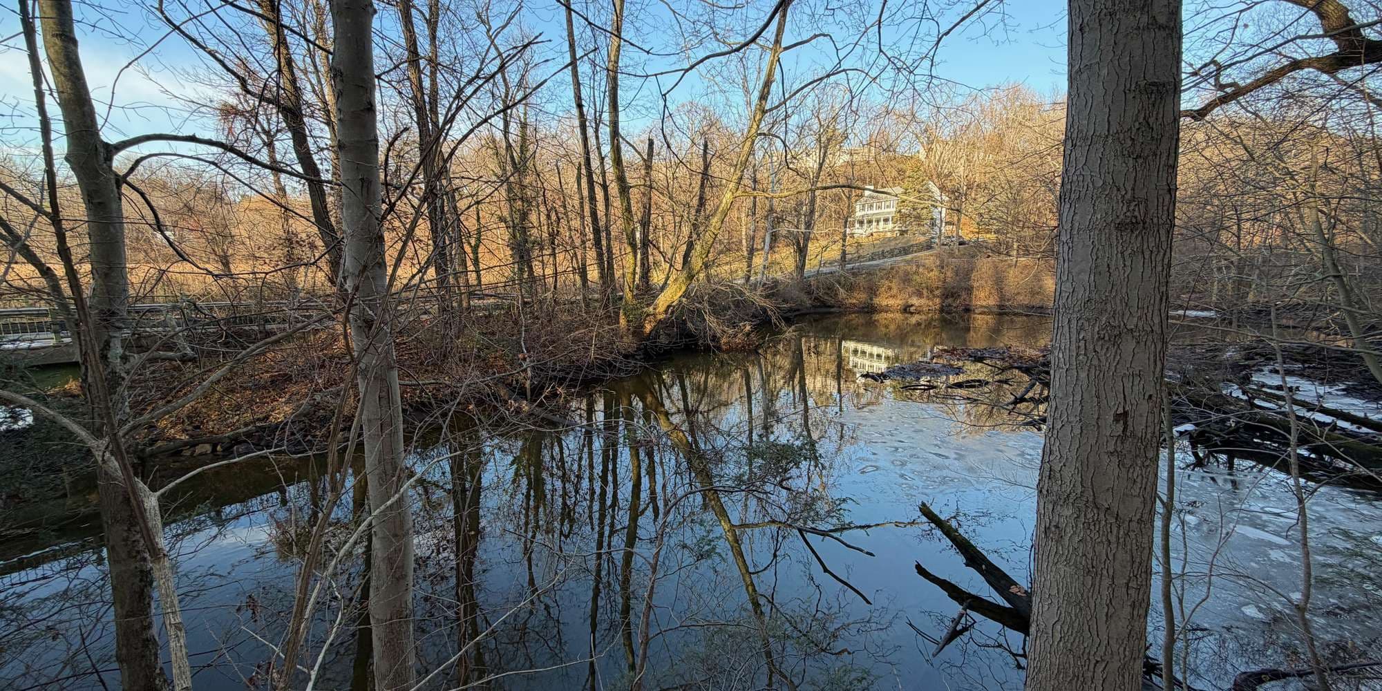 Second image to compare