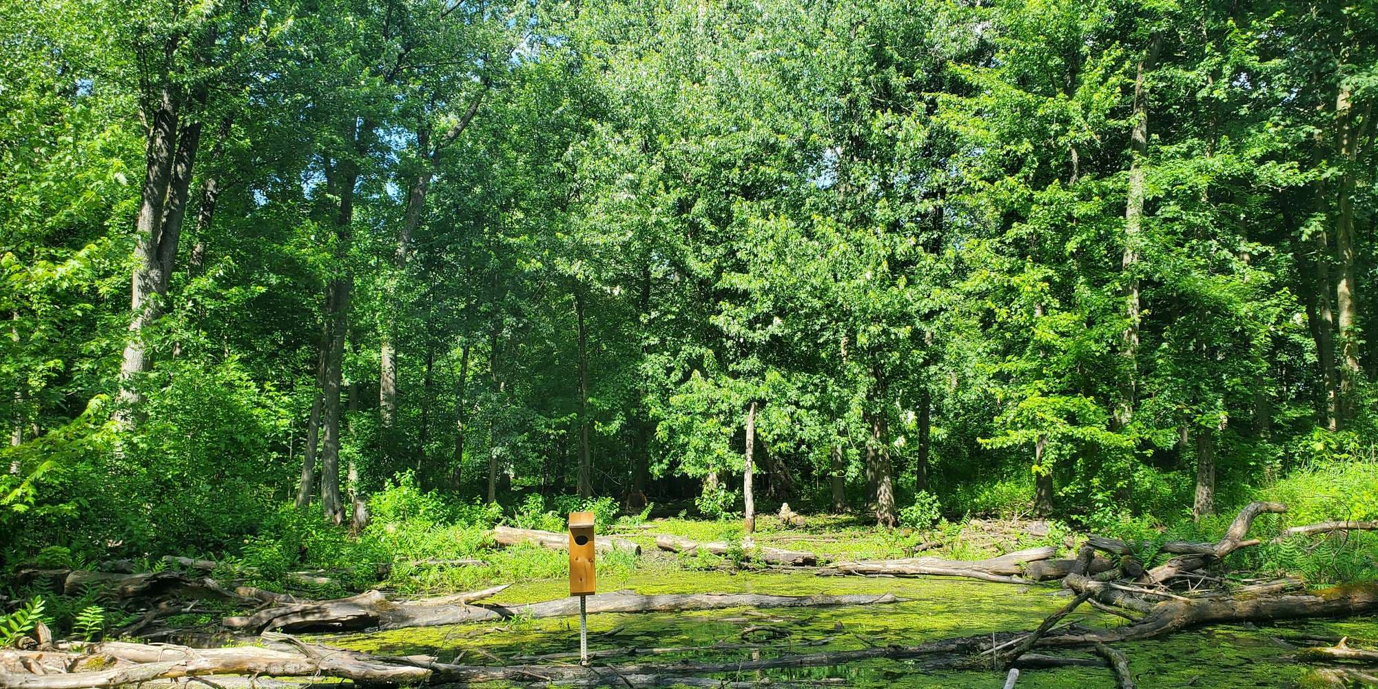 First image to compare