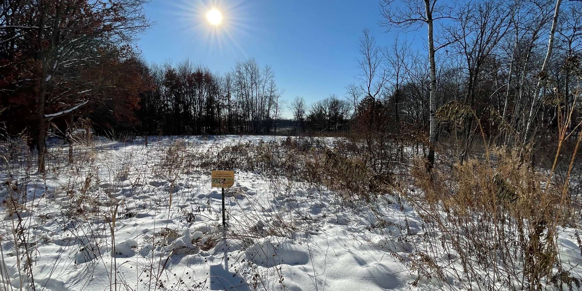 Second image to compare