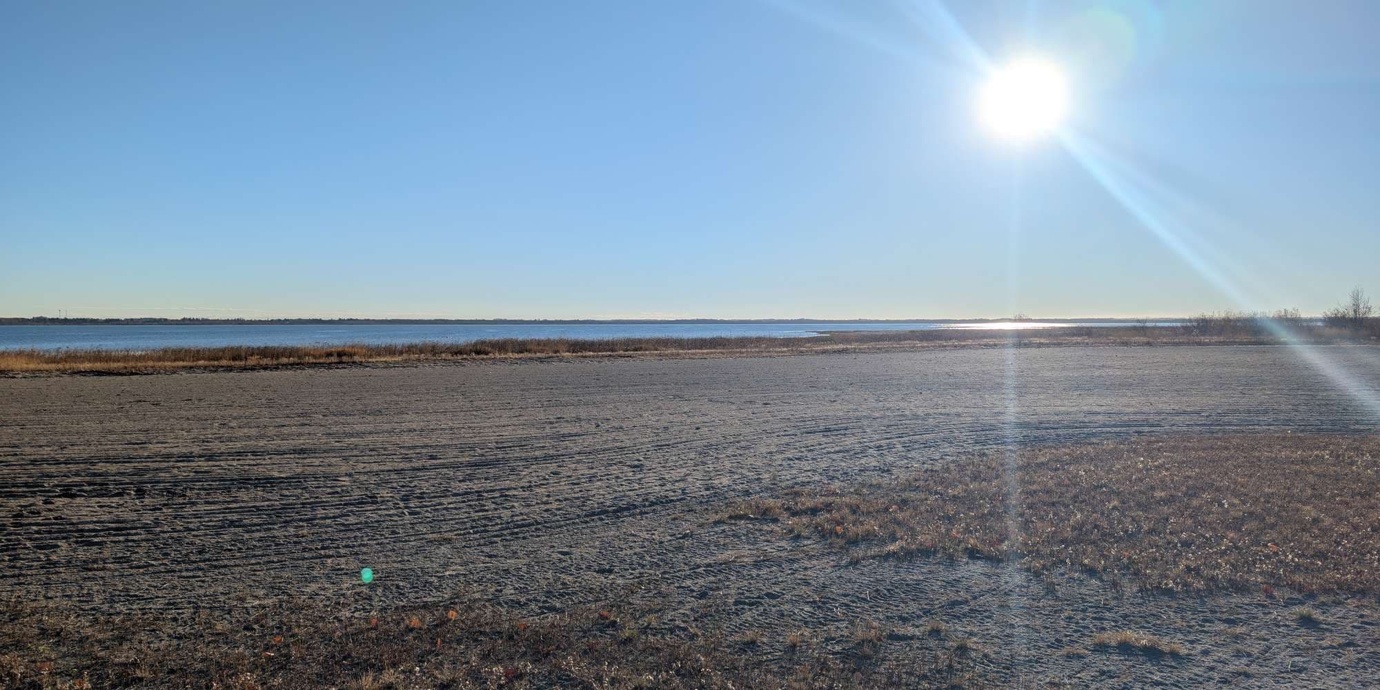 Second image to compare