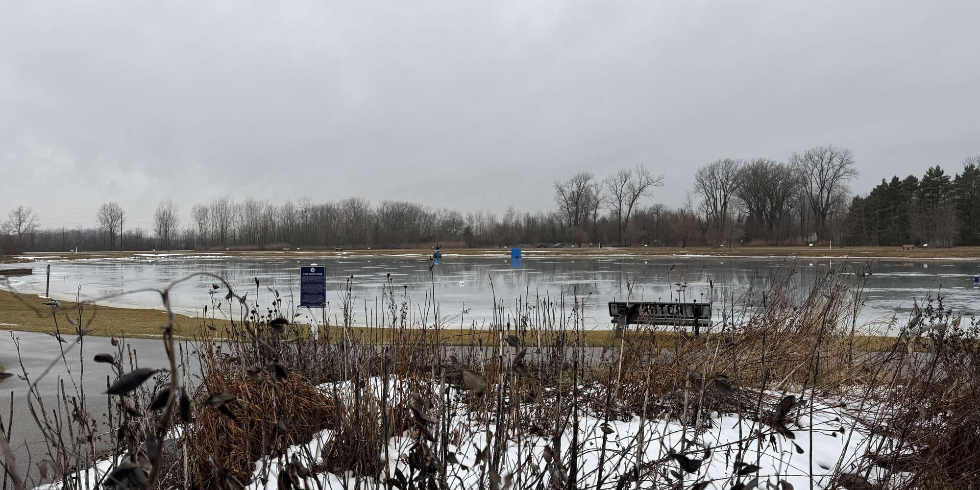 Second image to compare